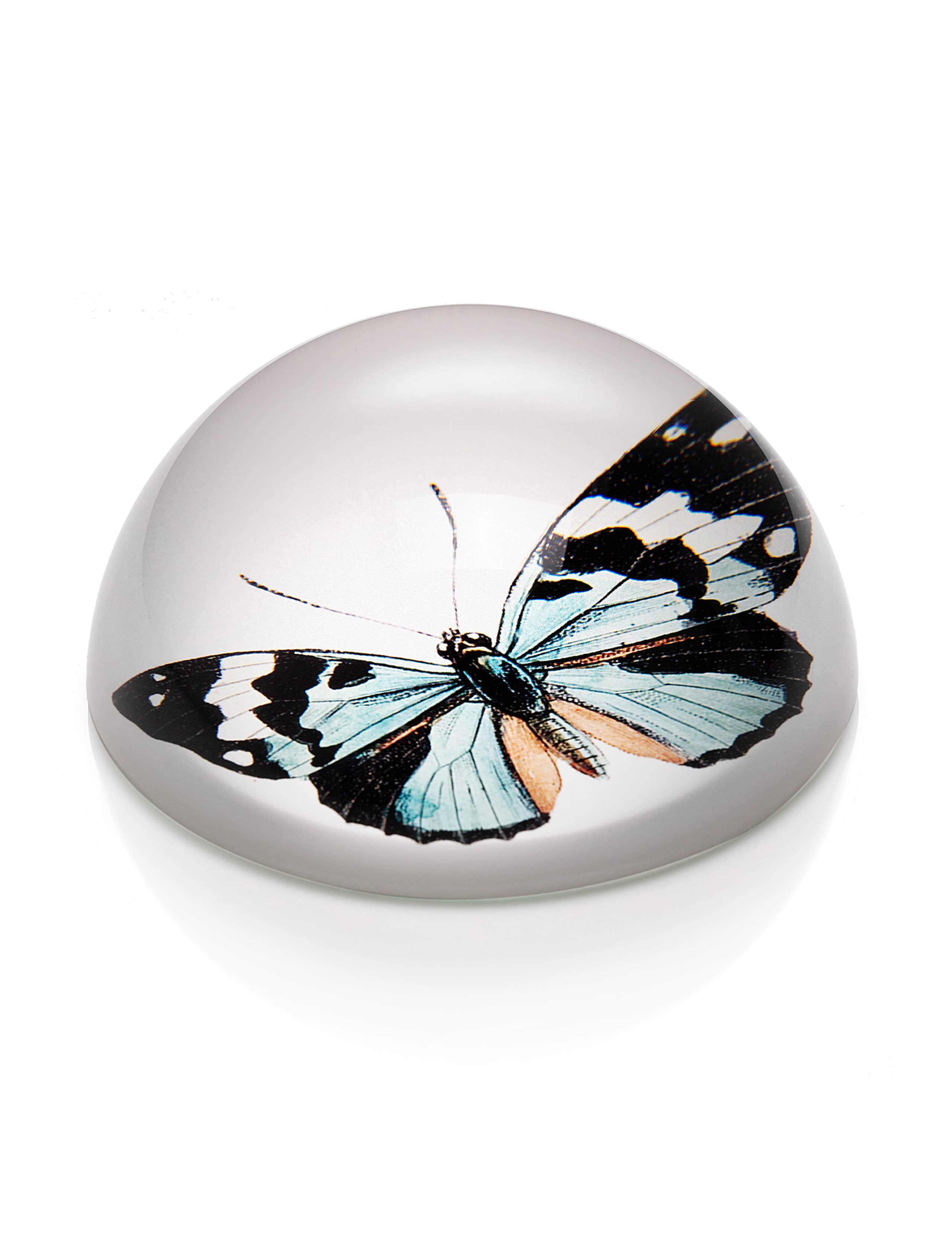 Butterfly Print Paperweight 1 of 1