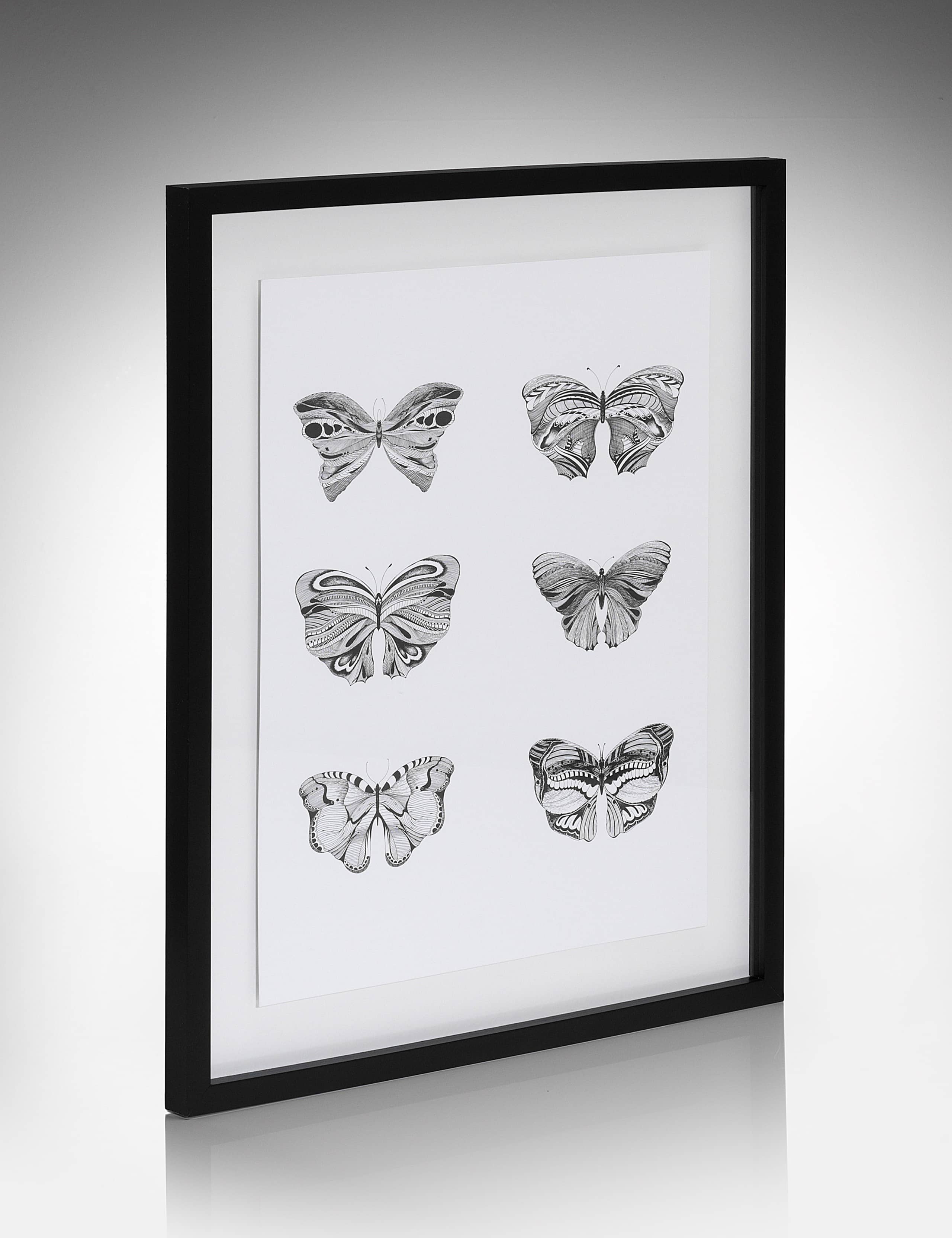Conran Multi-Butterfly Wall Art 1 of 2