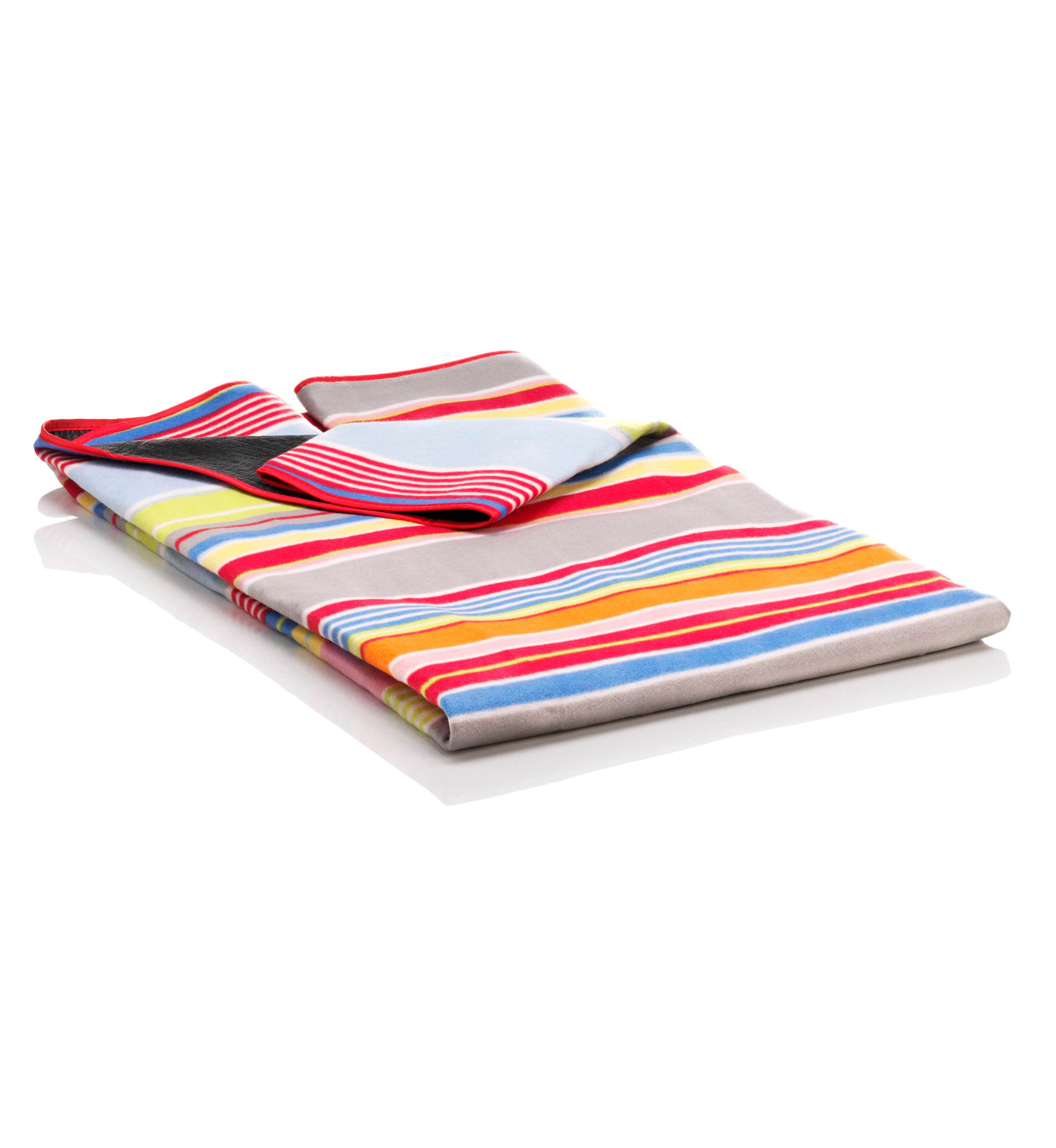 Paradise Striped Picnic Rug 1 of 2
