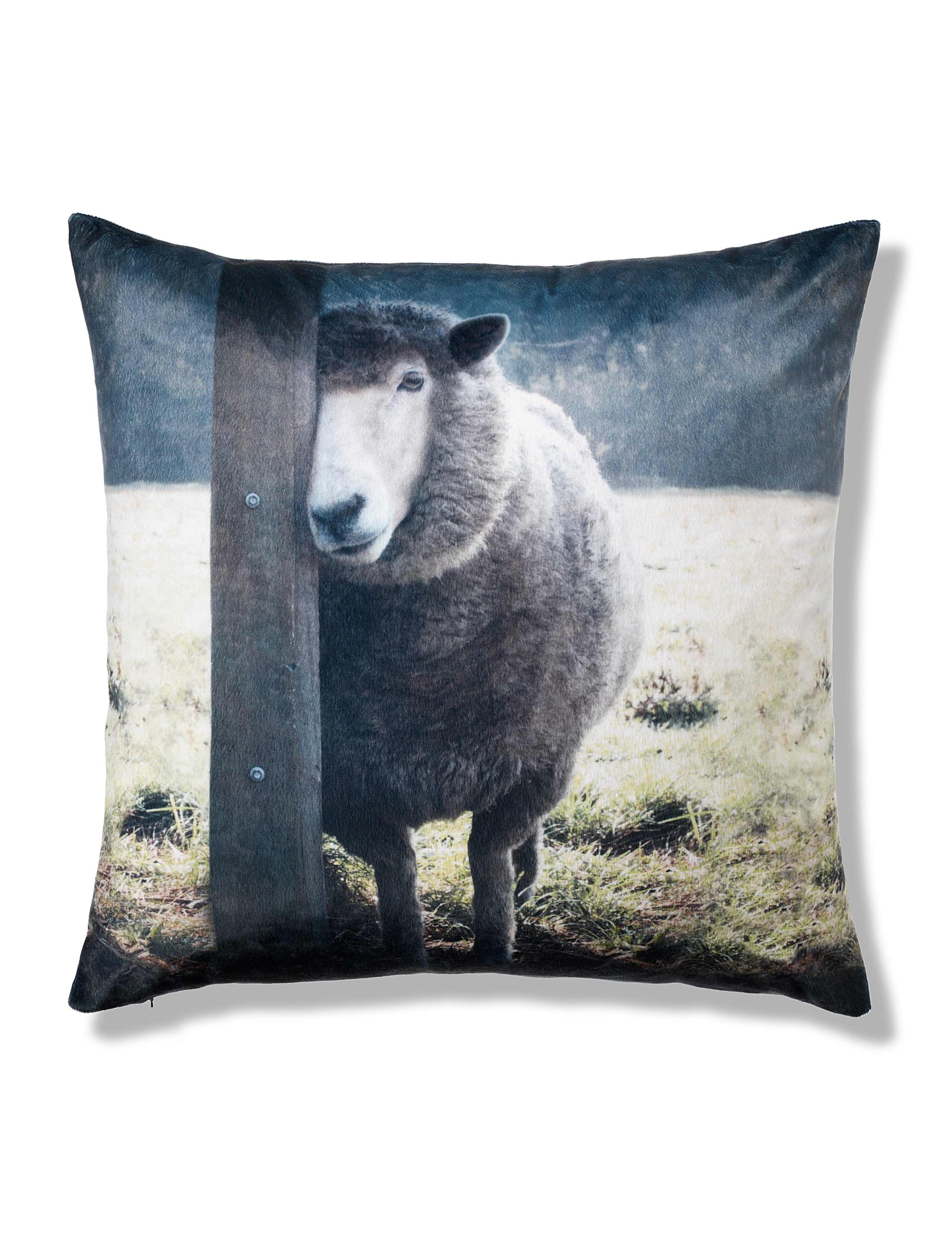 Velvet Sheep Print Cushion 1 of 1