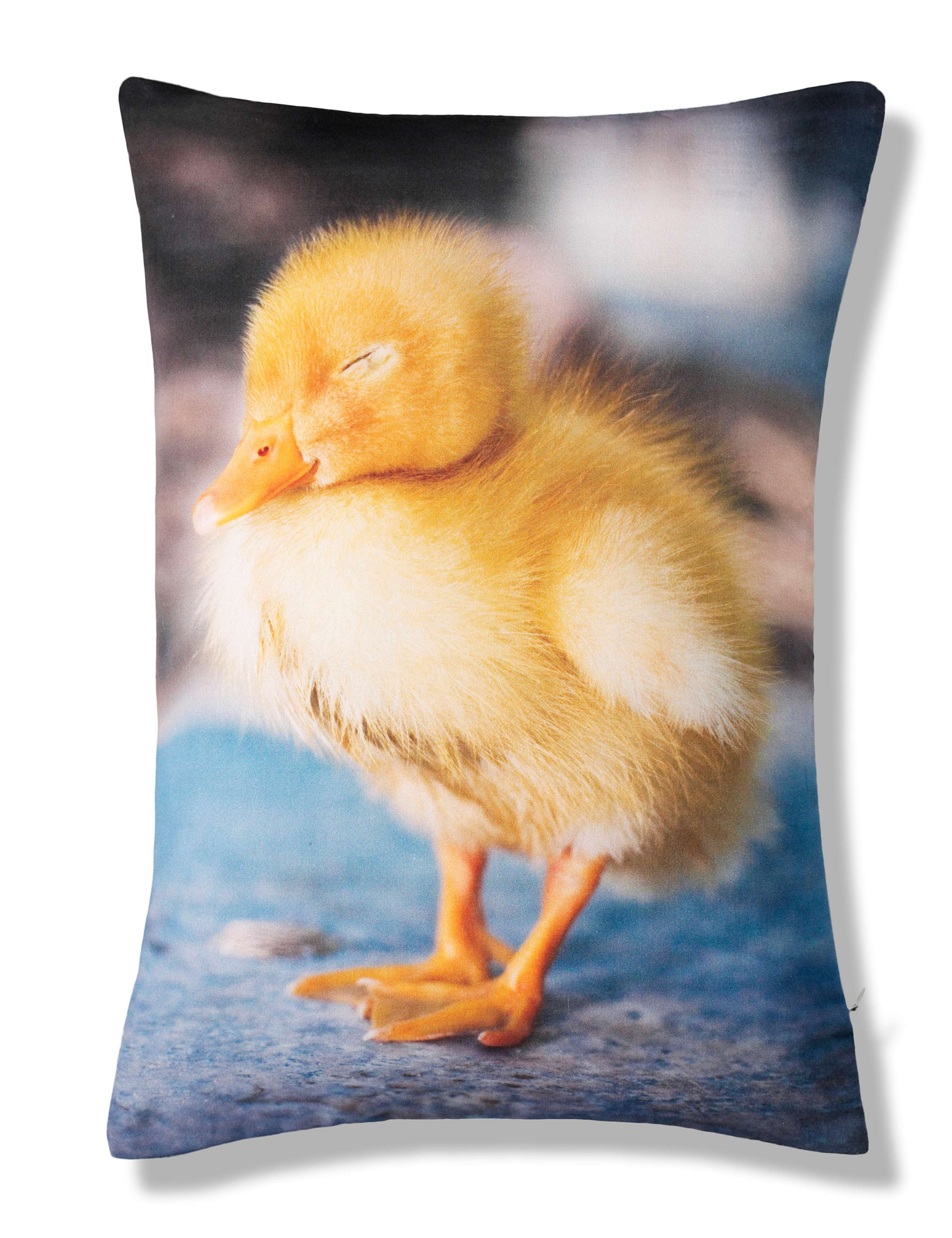 Duckling Print Cushion 1 of 2