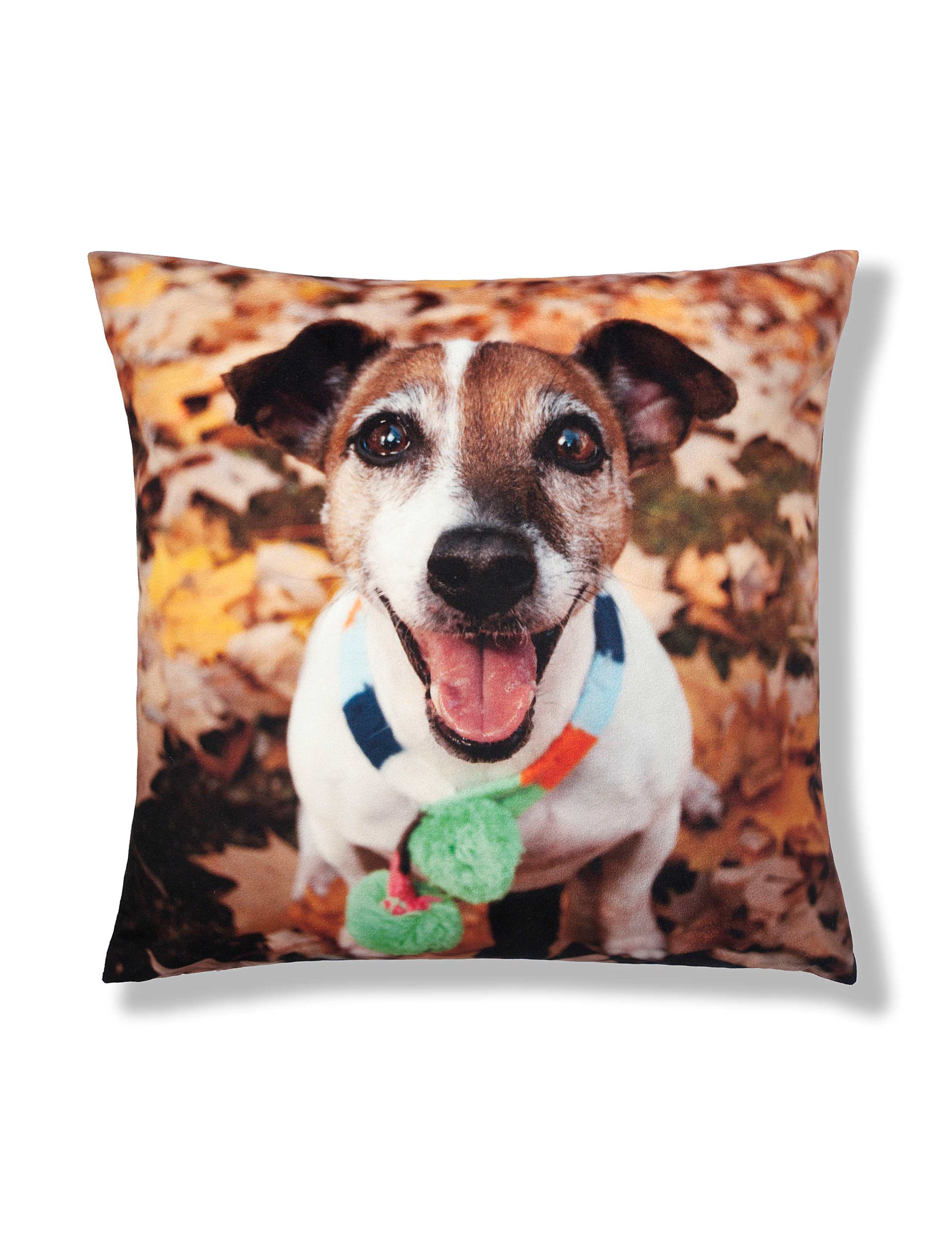 Freddie Jack Russell Cushion 1 of 1