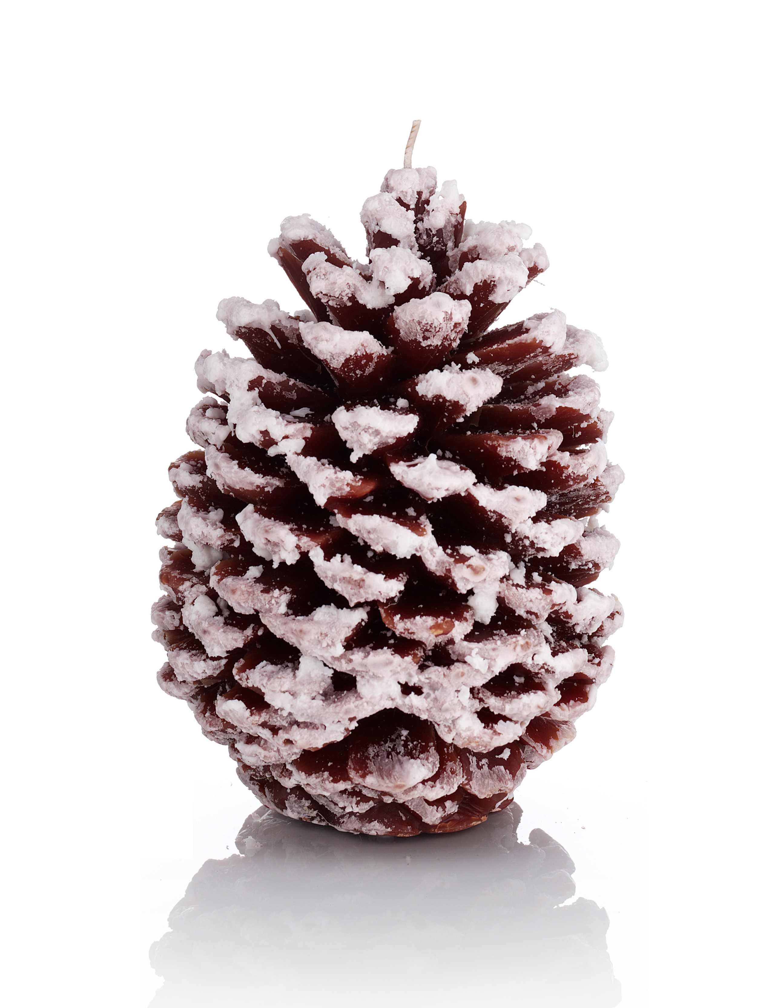 Mandarin, Cinnamon & Cloves Pine Cone Inclusion Candle 1 of 2