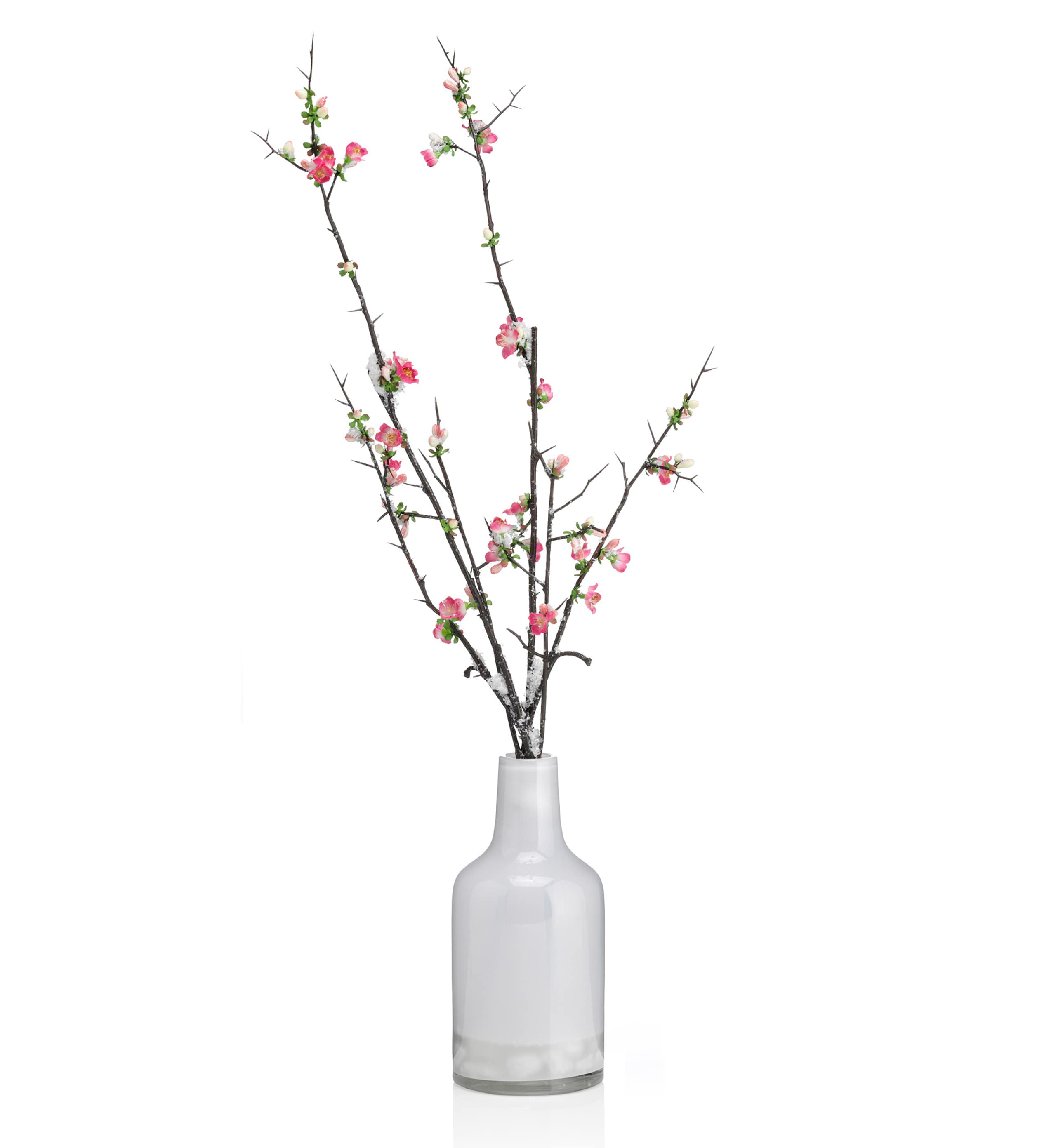 Artificial Winter Cherry Blossom in Vase 1 of 2