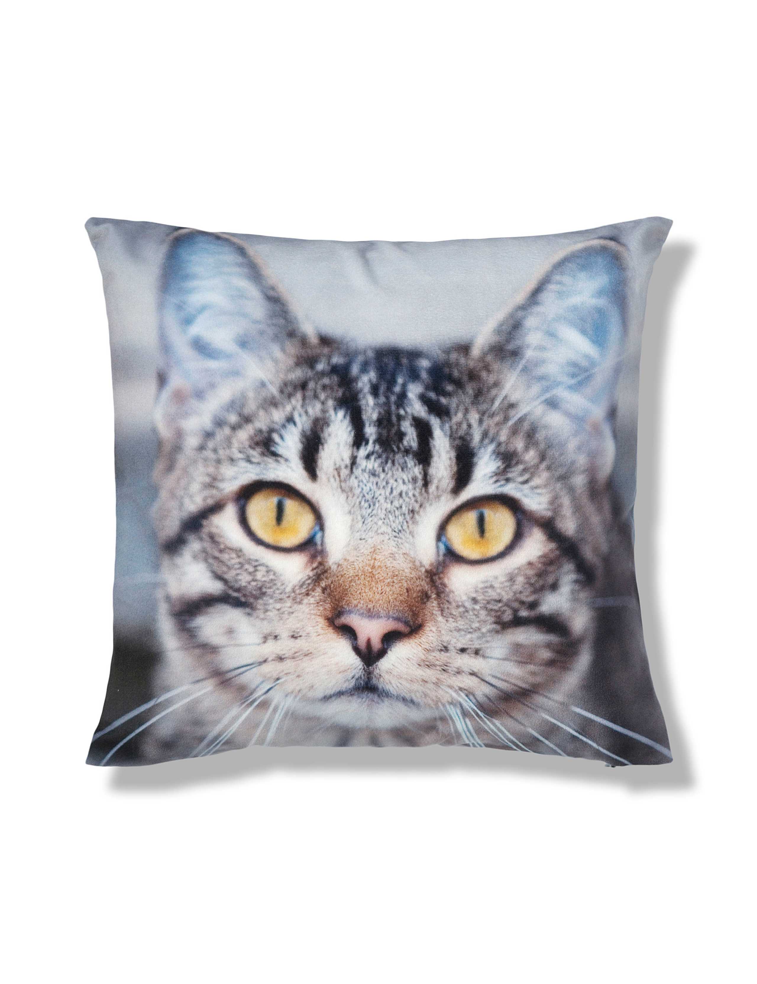Sidney Tabby Cat Cushion 1 of 1