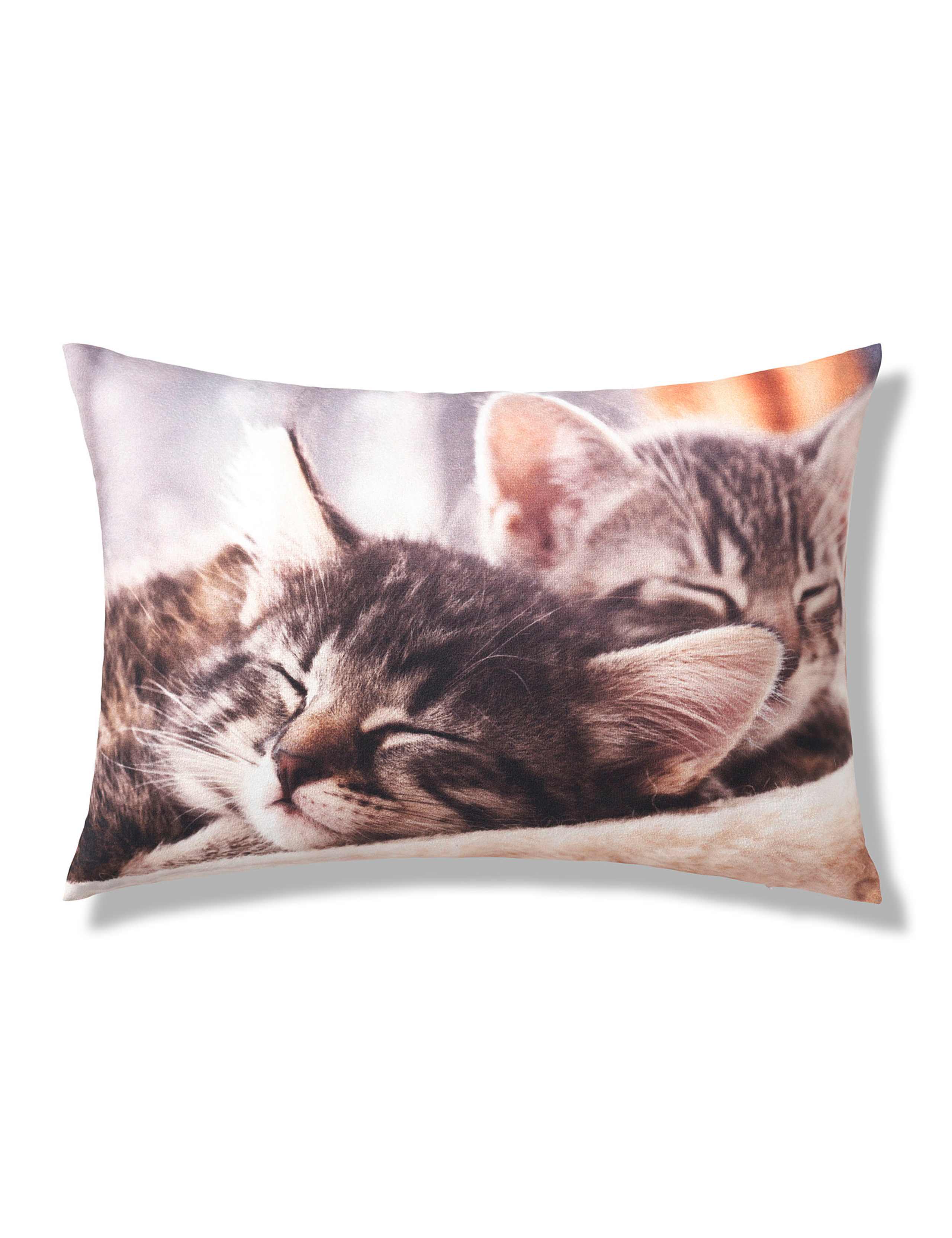 Photographic Sleeping Kittens Cushion 1 of 1