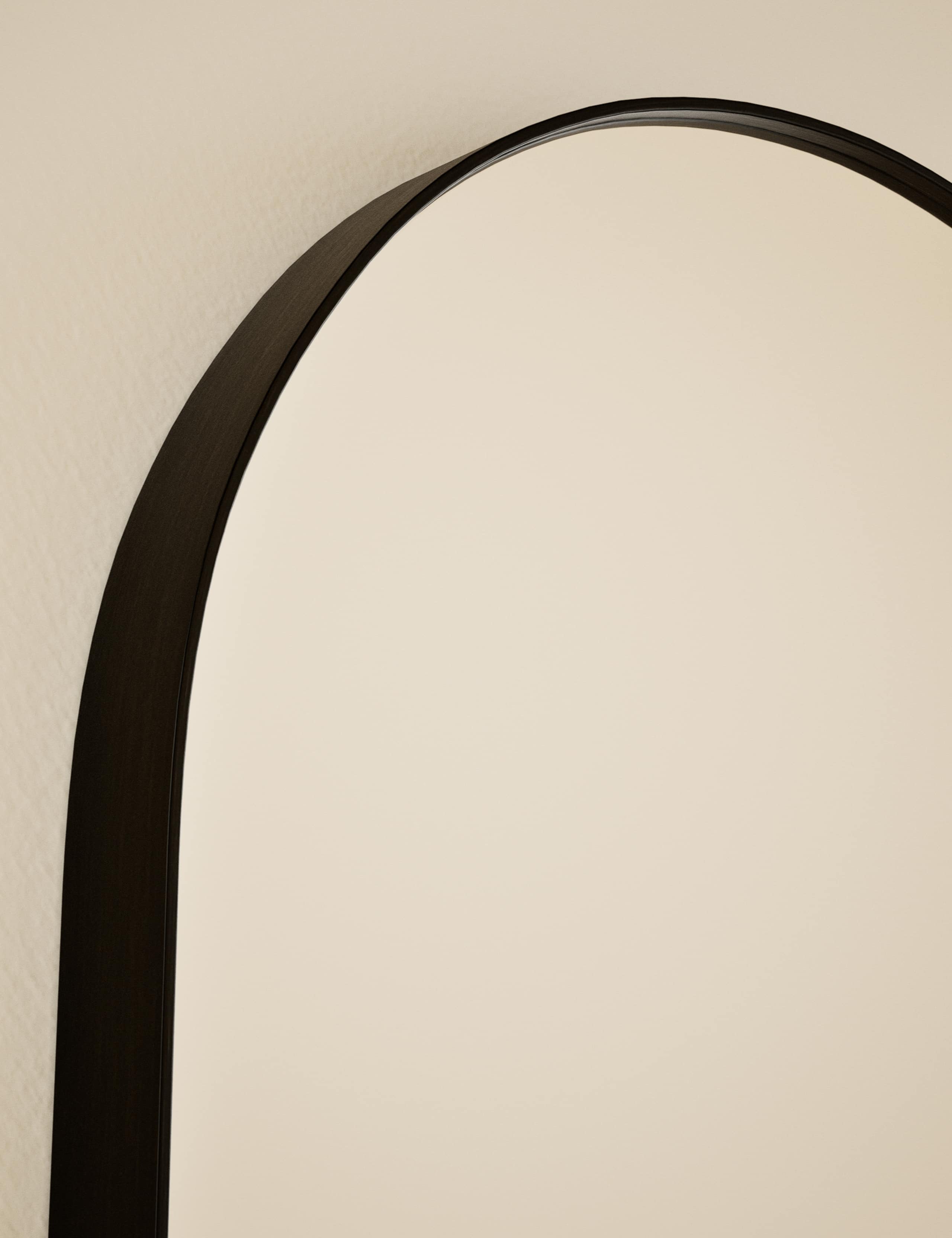 Milan Pill Shape Short Hanging Mirror 80 x 40 3 of 6