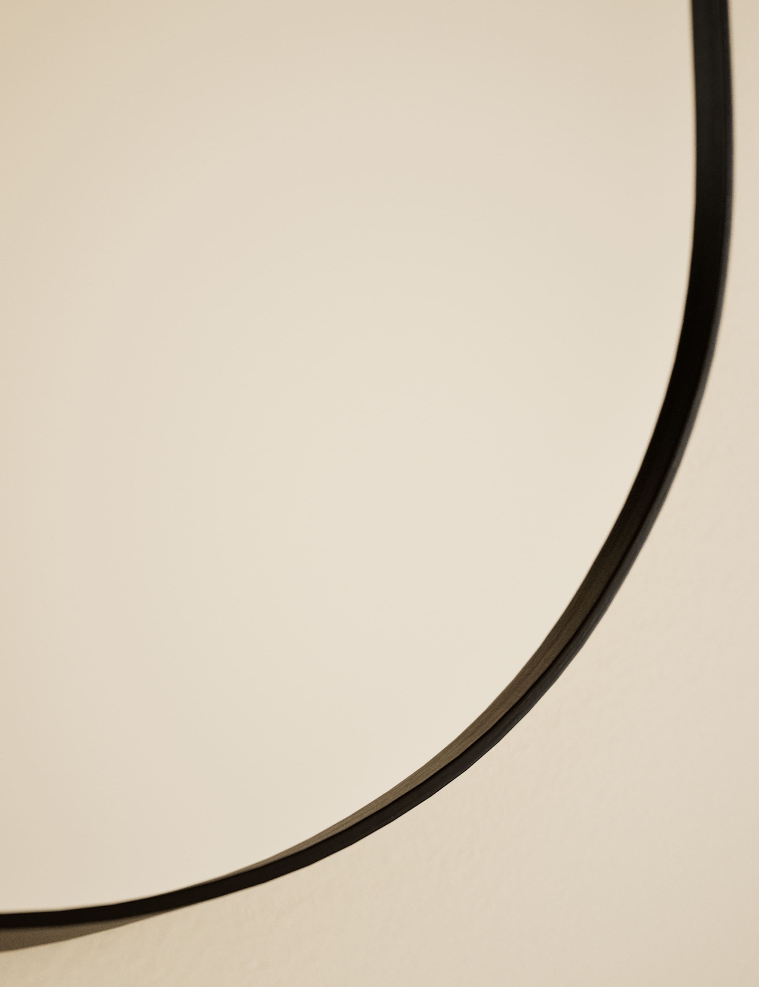Milan Pill Shape Short Hanging Mirror 80 x 40 4 of 6