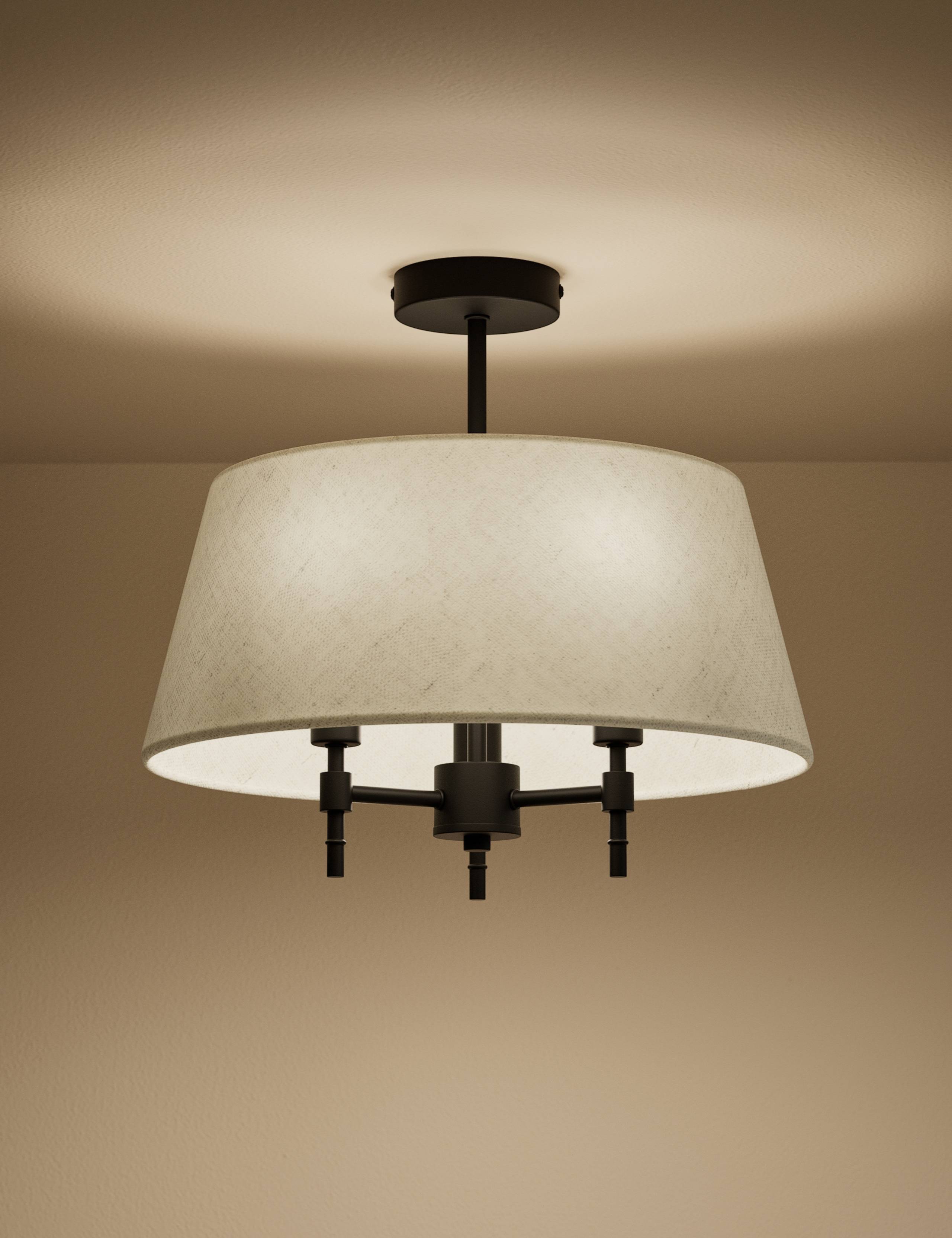 Flush Ceiling Light 2 of 4