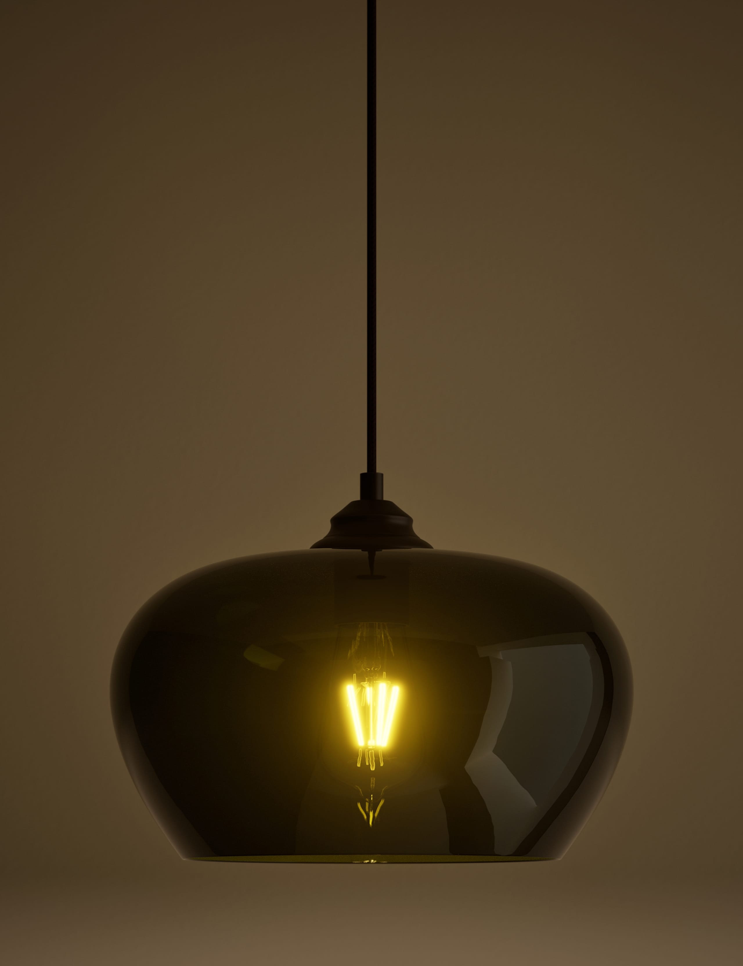 Glass Oval Pendant Ceiling Light 2 of 4
