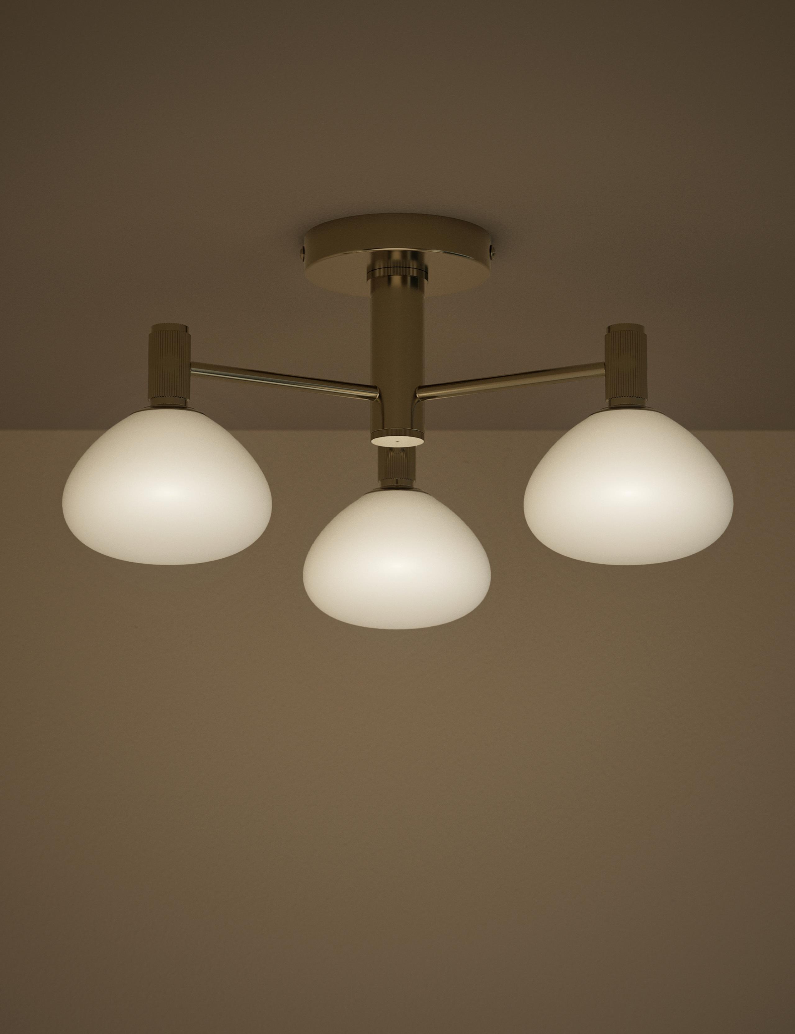 Soft Organic Form 3 Light Ceiling Light 2 of 5