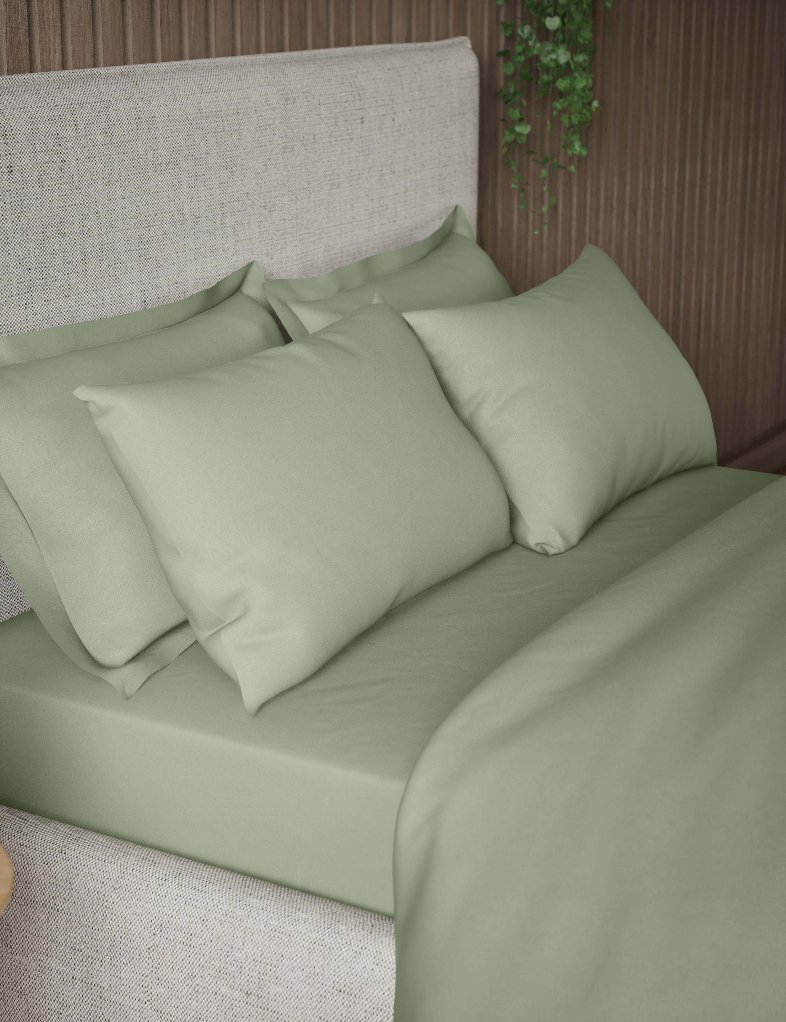 2 Pack Pure Cotton 300 Thread Count Pillowcases 1 of 2