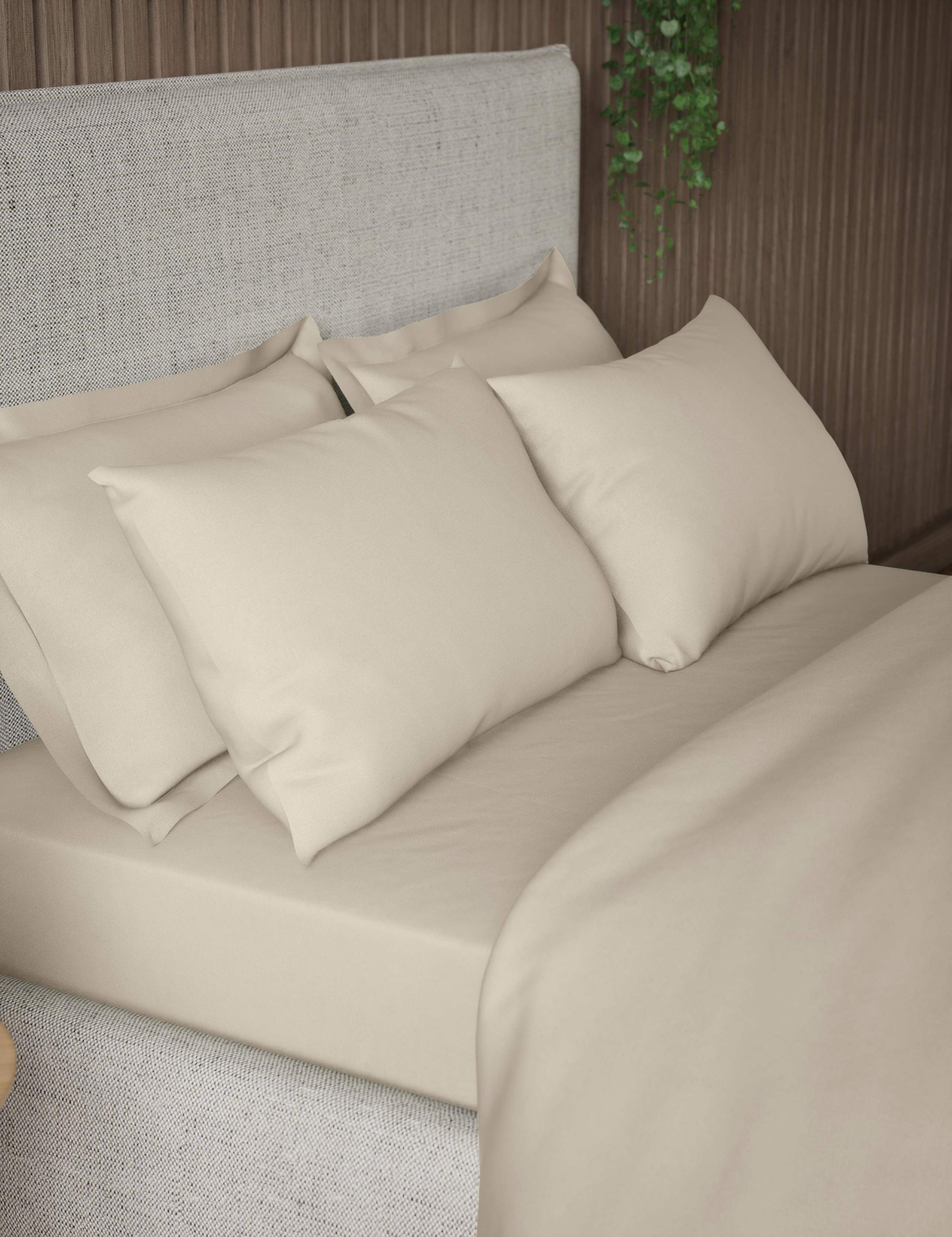 2 Pack Pure Cotton 300 Thread Count Pillowcases 1 of 3
