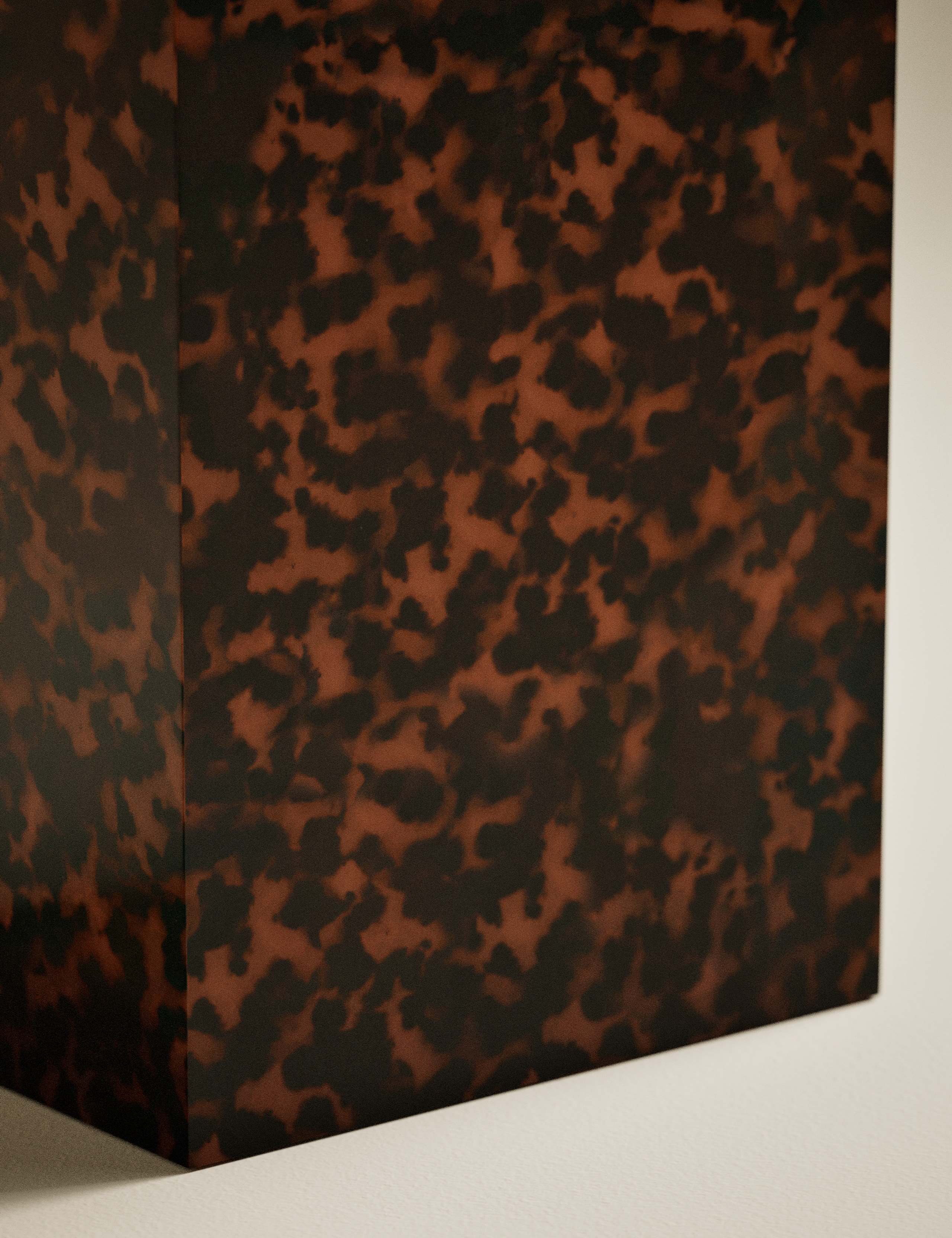 Blithe Tortoise Print Side Table 4 of 6