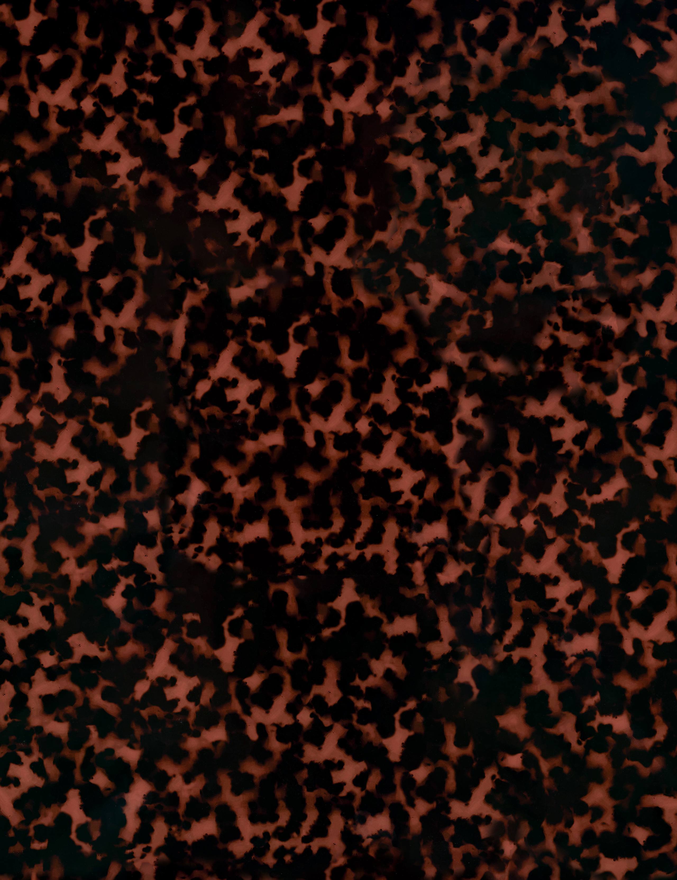 Blithe Tortoise Print Side Table 5 of 6