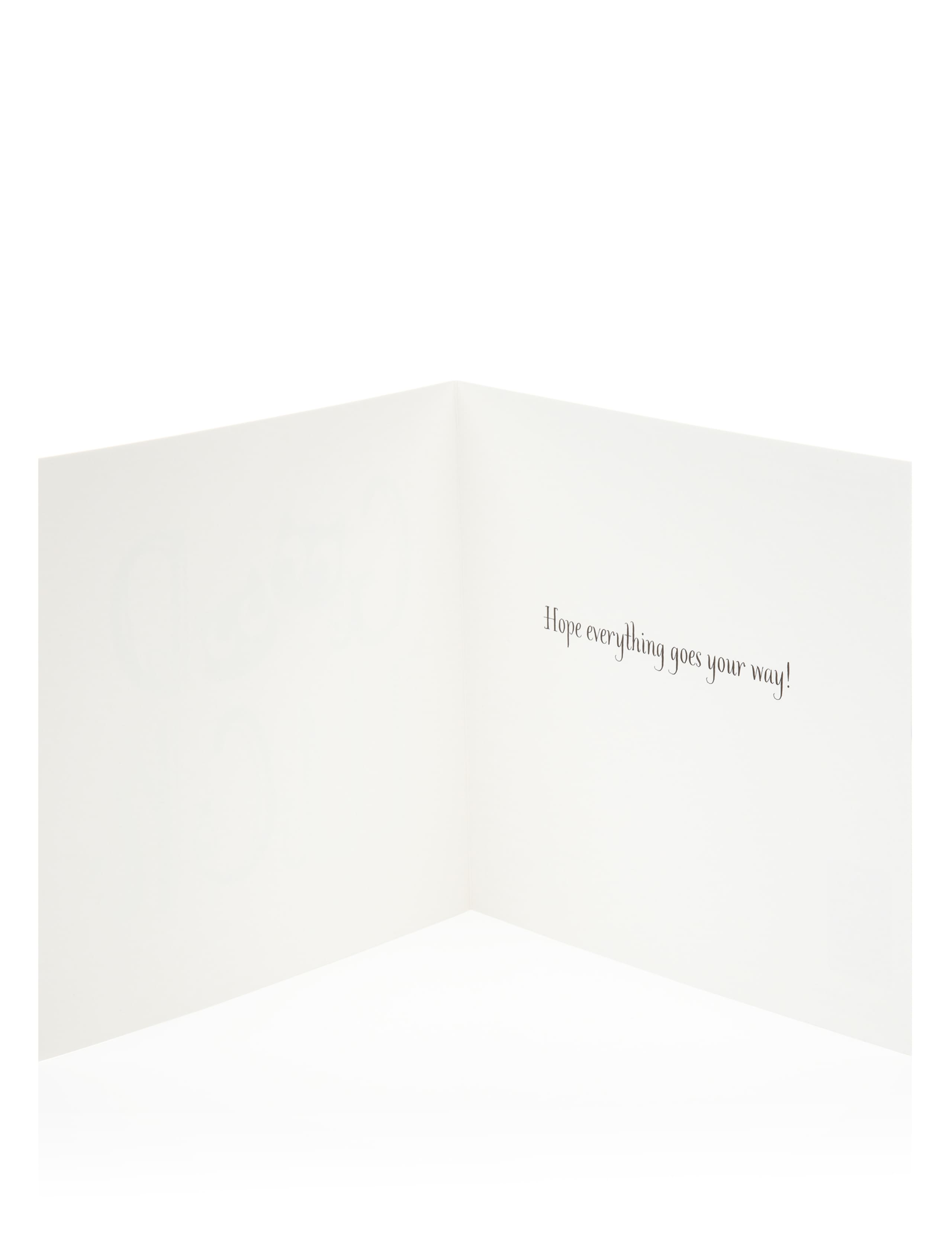 Cat Faces Good Luck Greetings Card 2 of 2