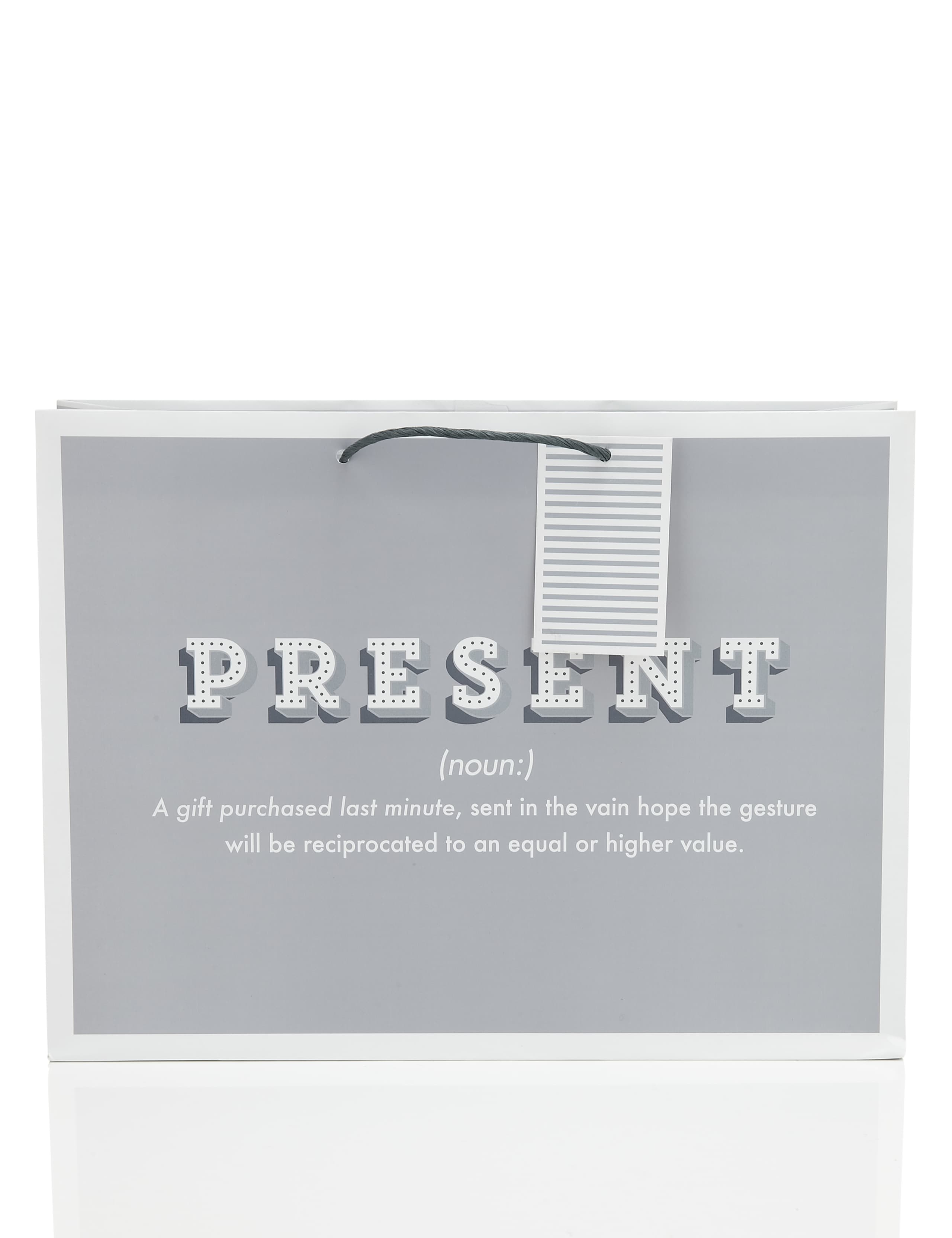 Dictionary Humour Large Gift Bag 1 of 2