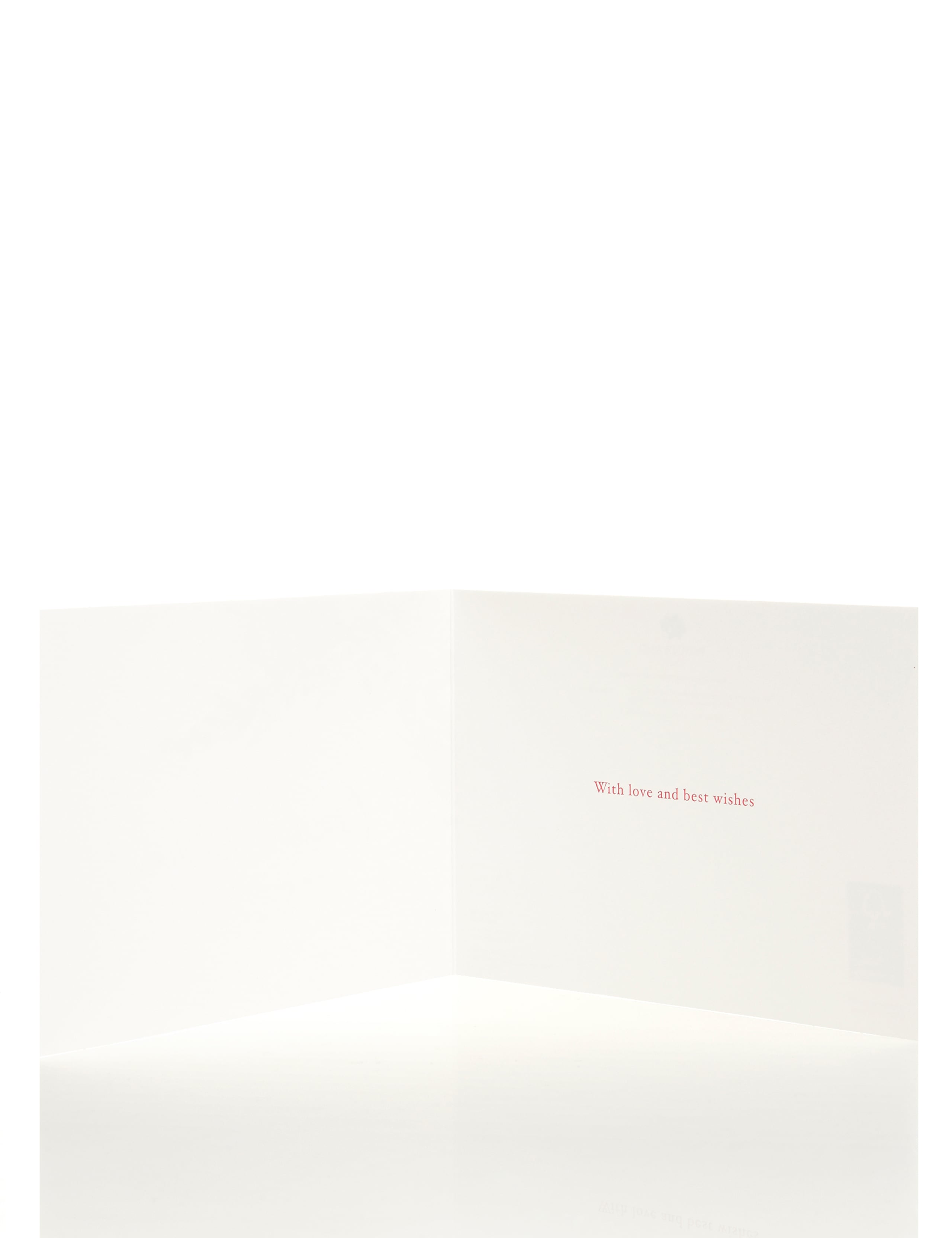 8 Luxury Foliage Christmas Multipack of Cards 2 of 2