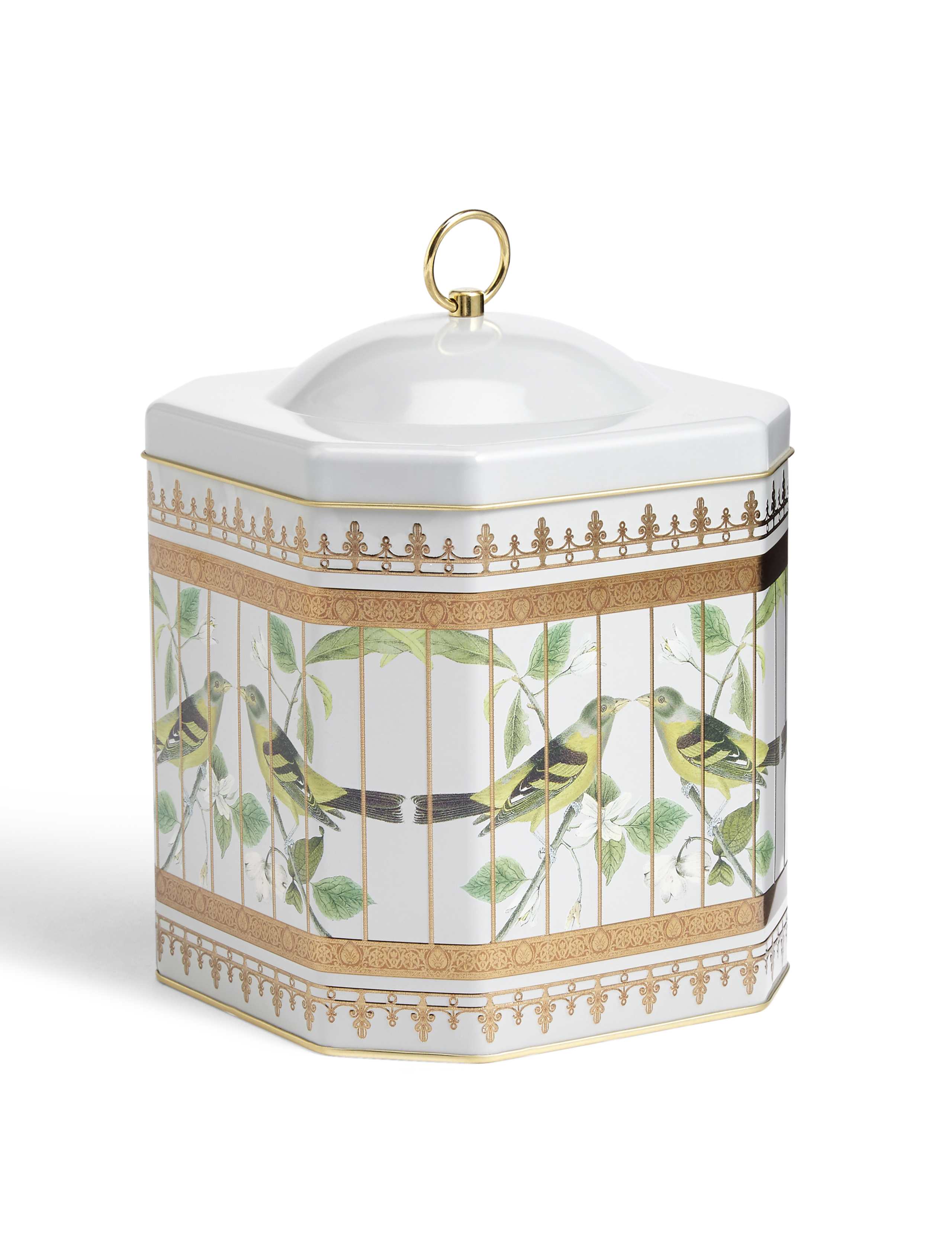 Biscuit Tin Botanical 2 of 3