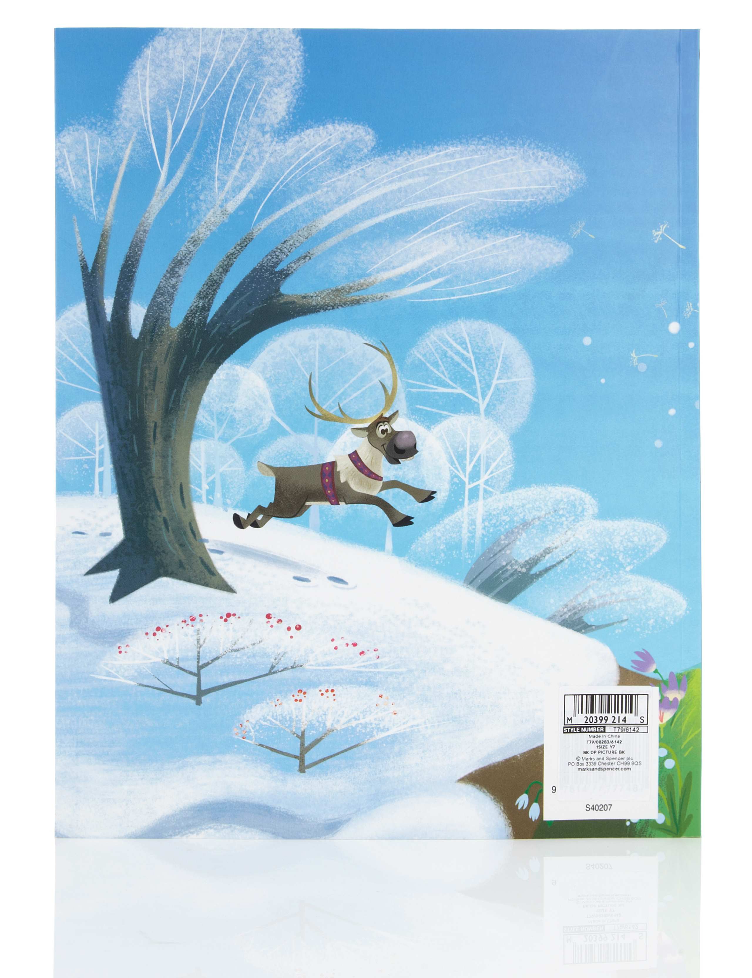 Frozen Amazing Snowman Book 2 of 3