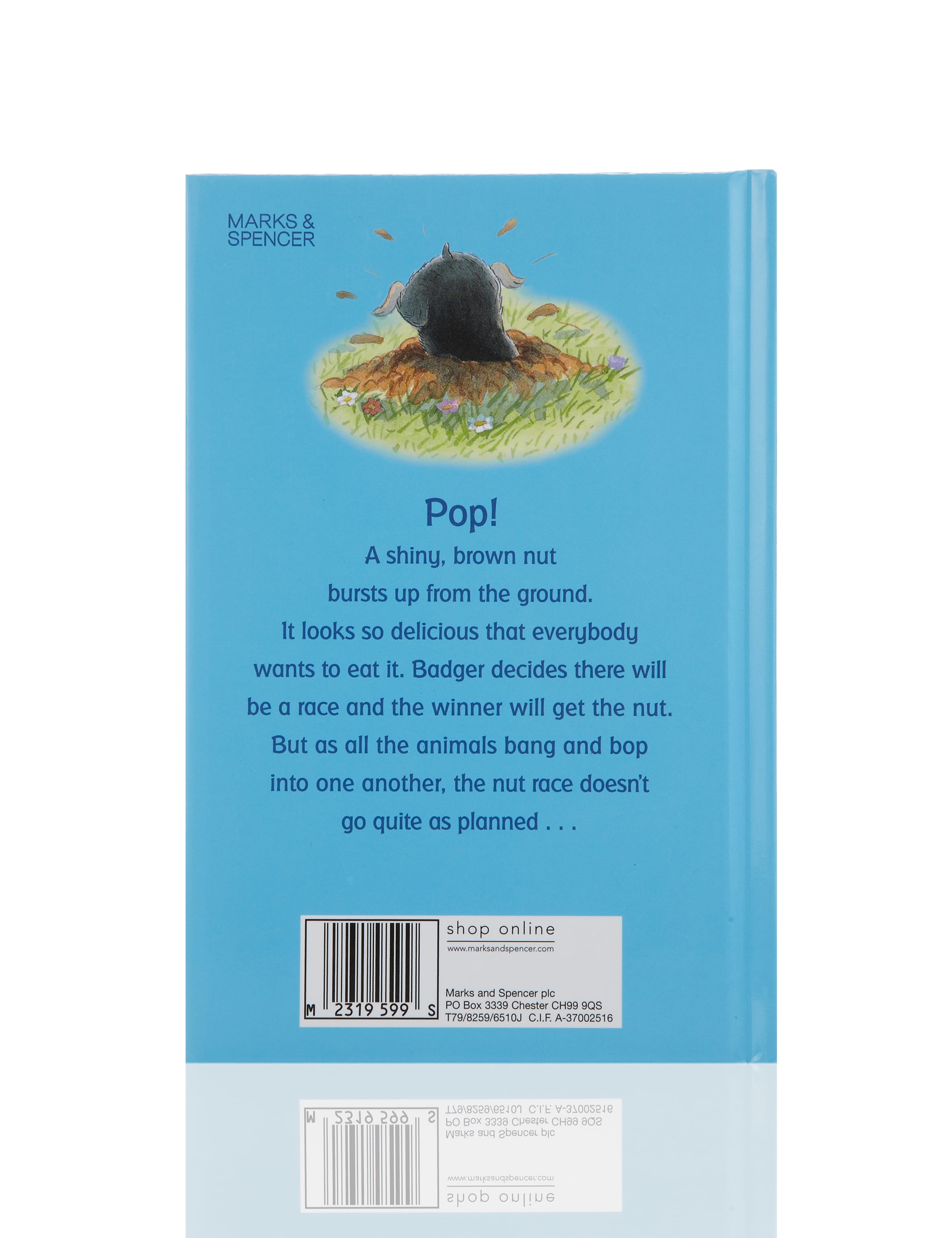 The Nutty Nut Chase Story Book 2 of 3
