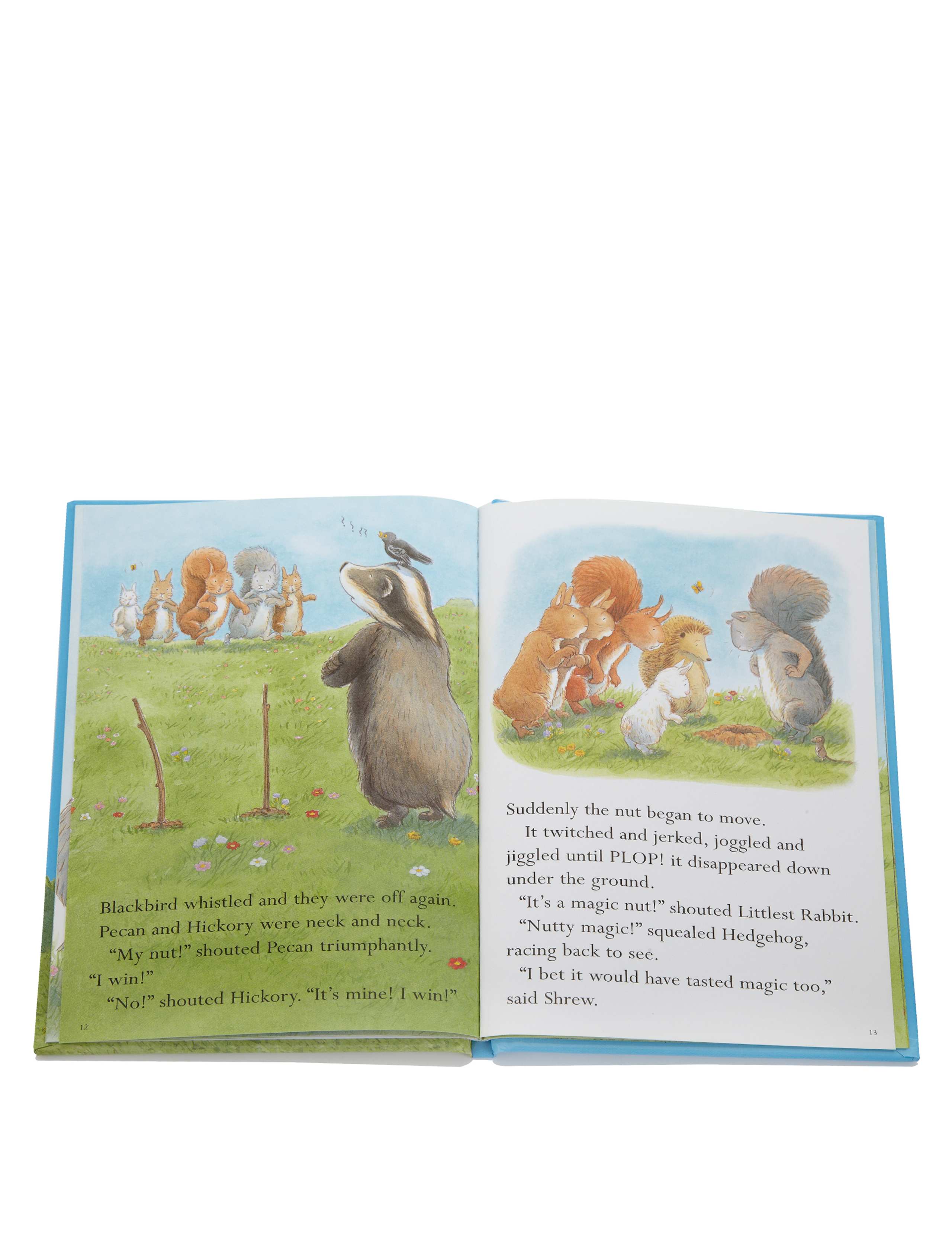 The Nutty Nut Chase Story Book 3 of 3