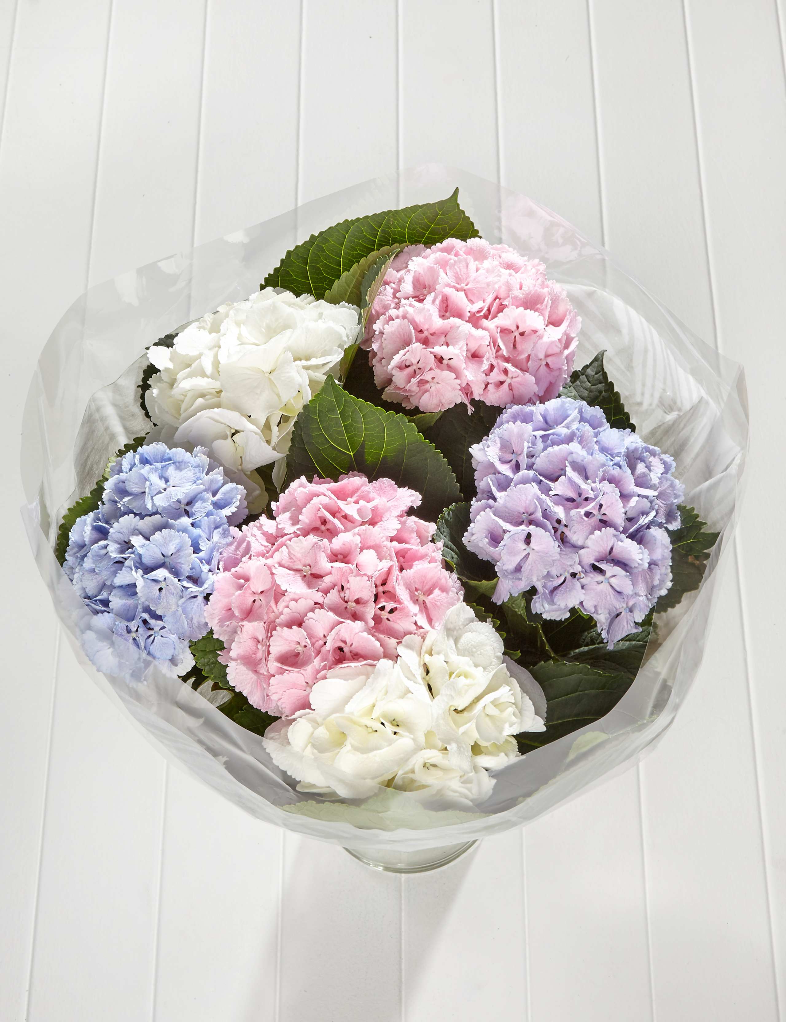 Autograph™ Hydrangea 2 of 4