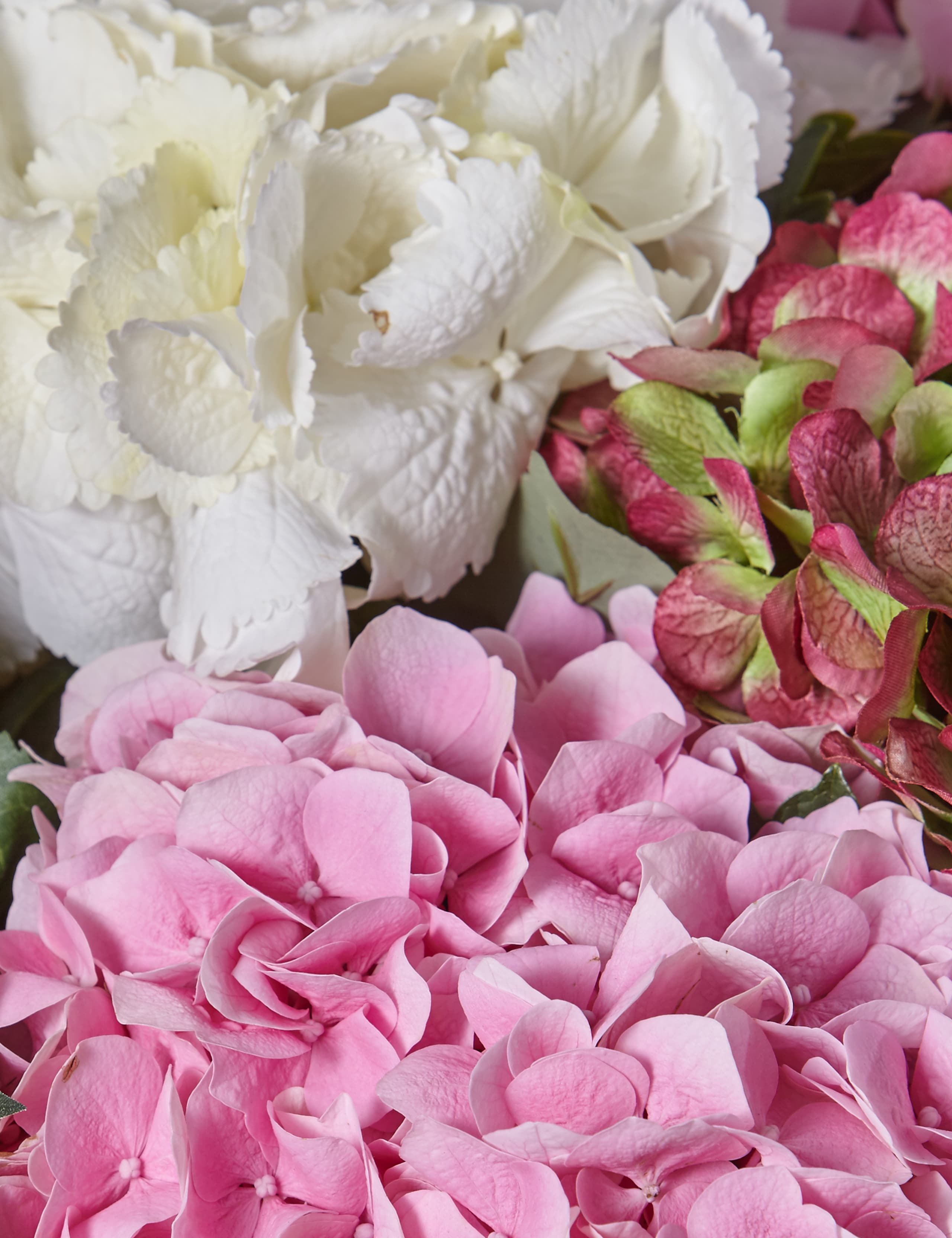 Autograph™ Hydrangea 4 of 4