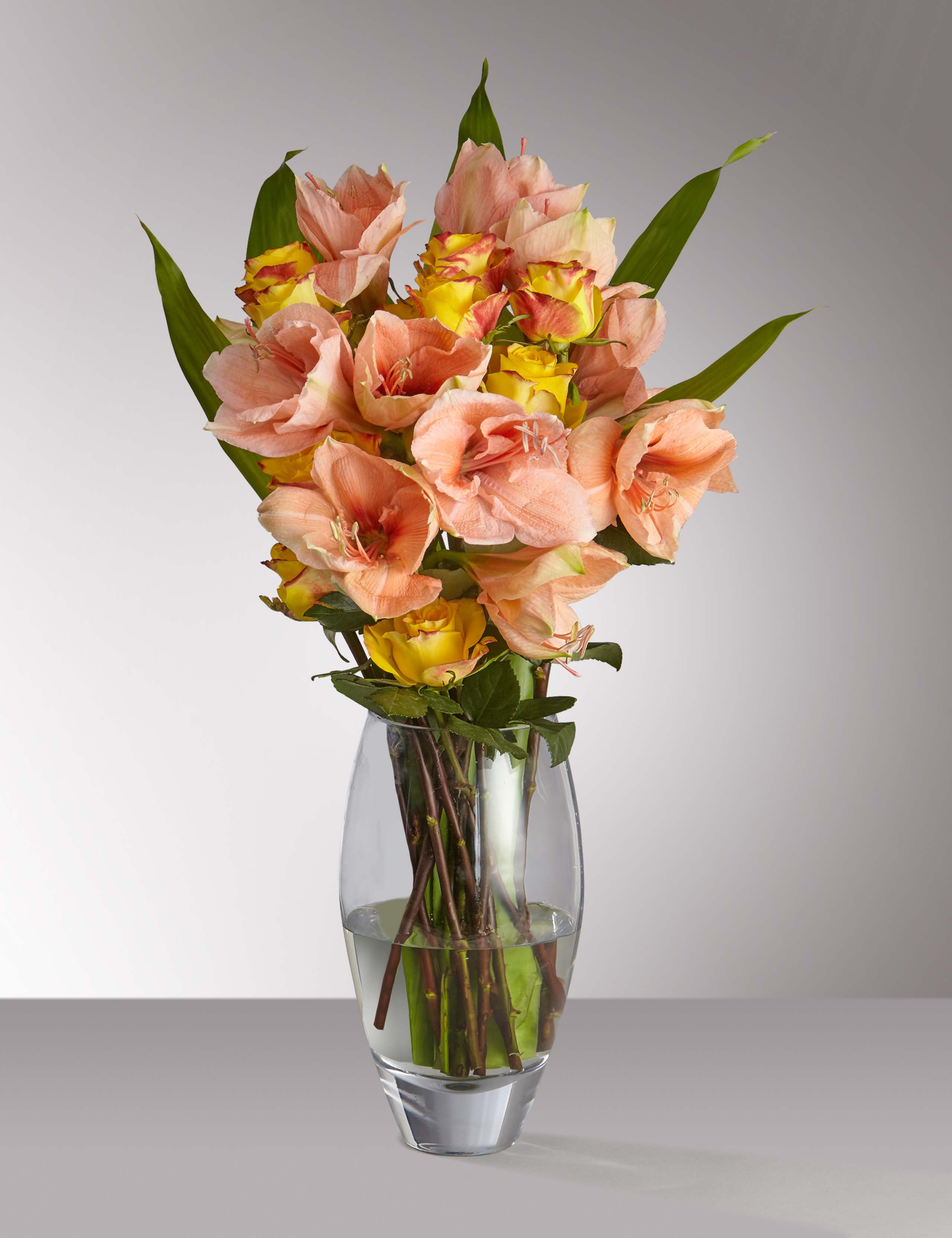 Autograph™ Amaryllis & Rose 1 of 4