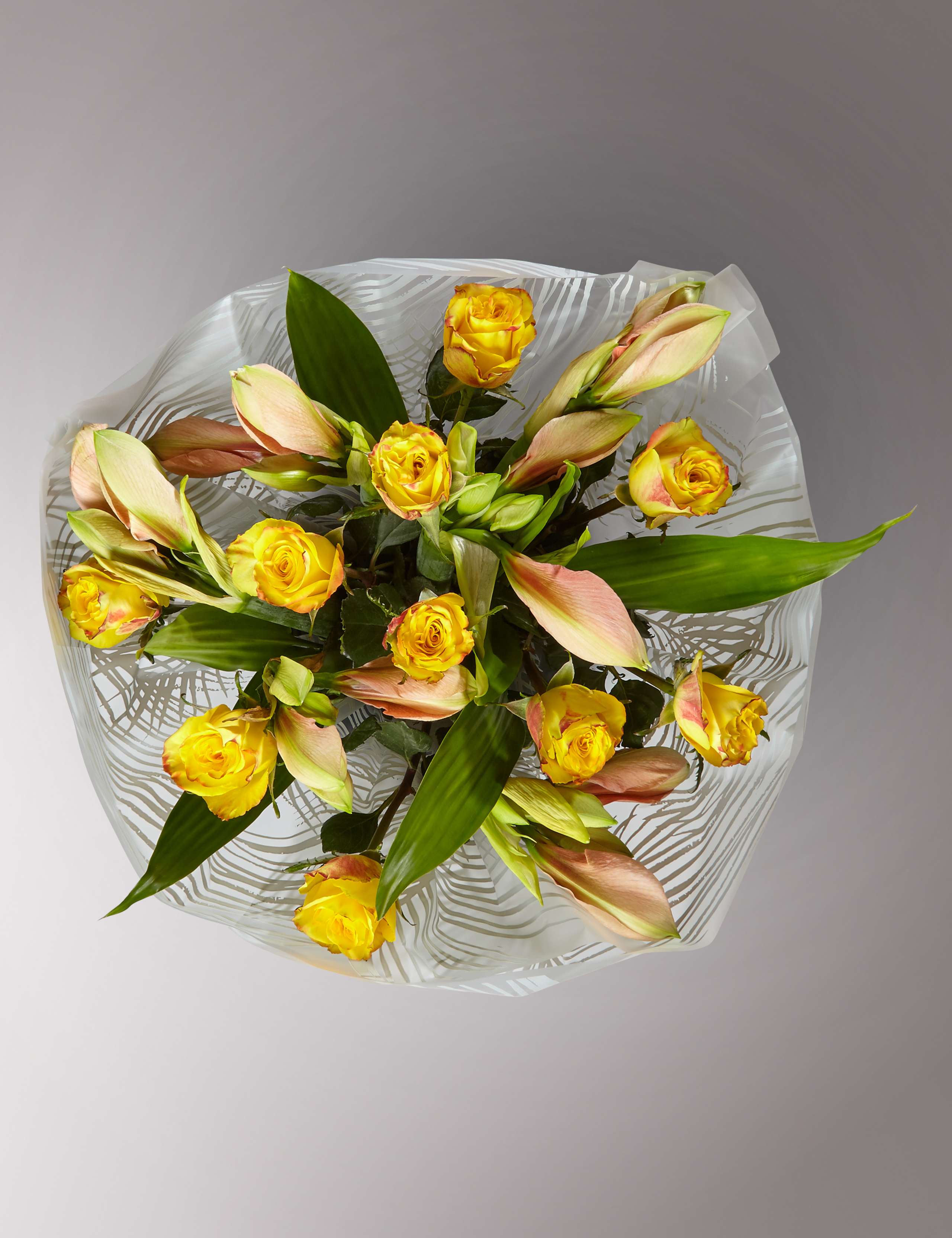 Autograph™ Amaryllis & Rose 2 of 4