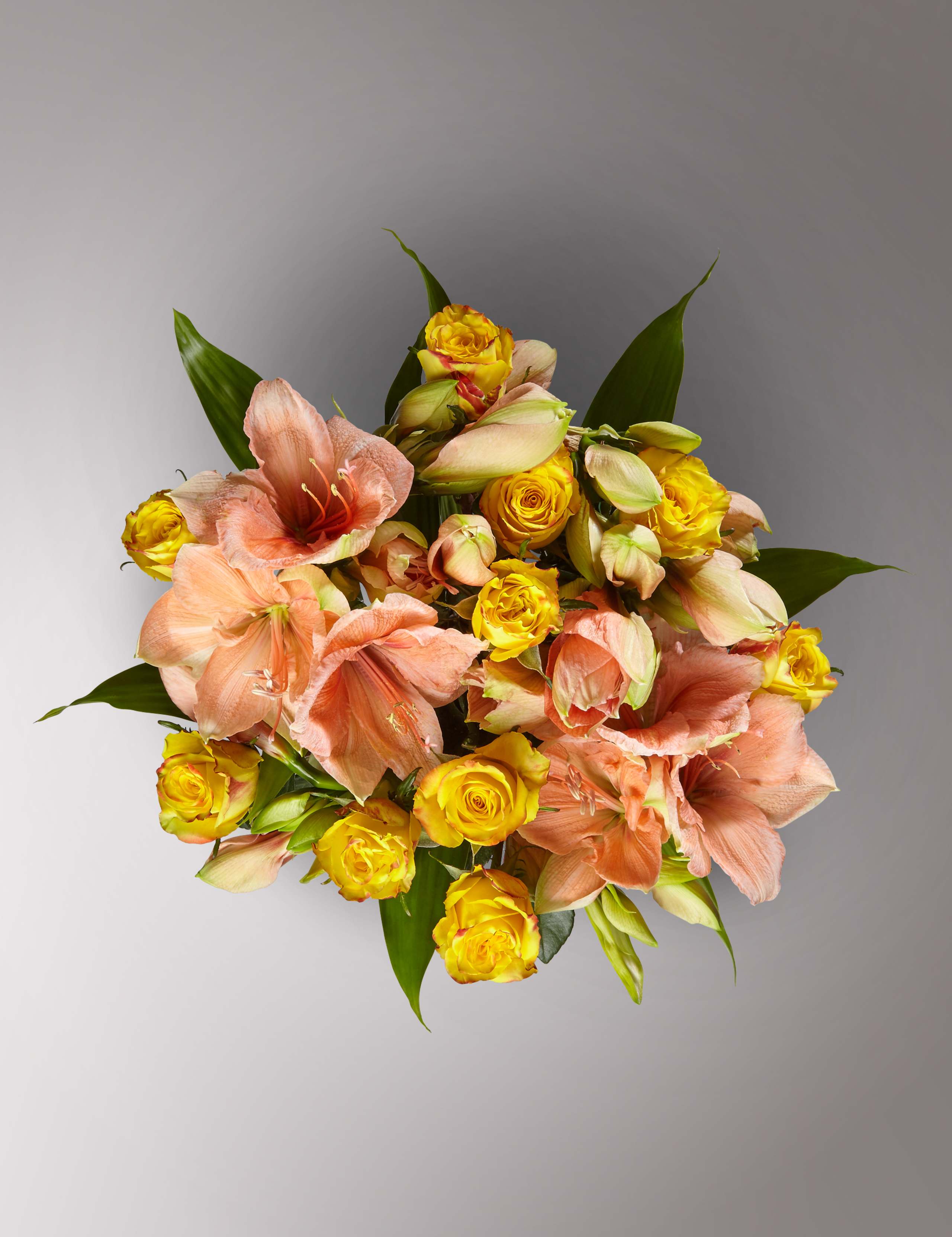 Autograph™ Amaryllis & Rose 3 of 4