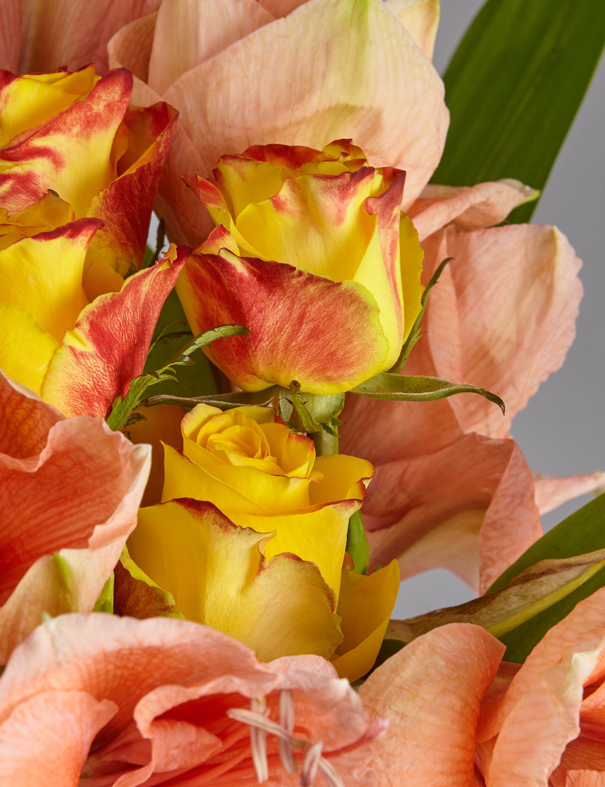 Autograph™ Amaryllis & Rose 4 of 4