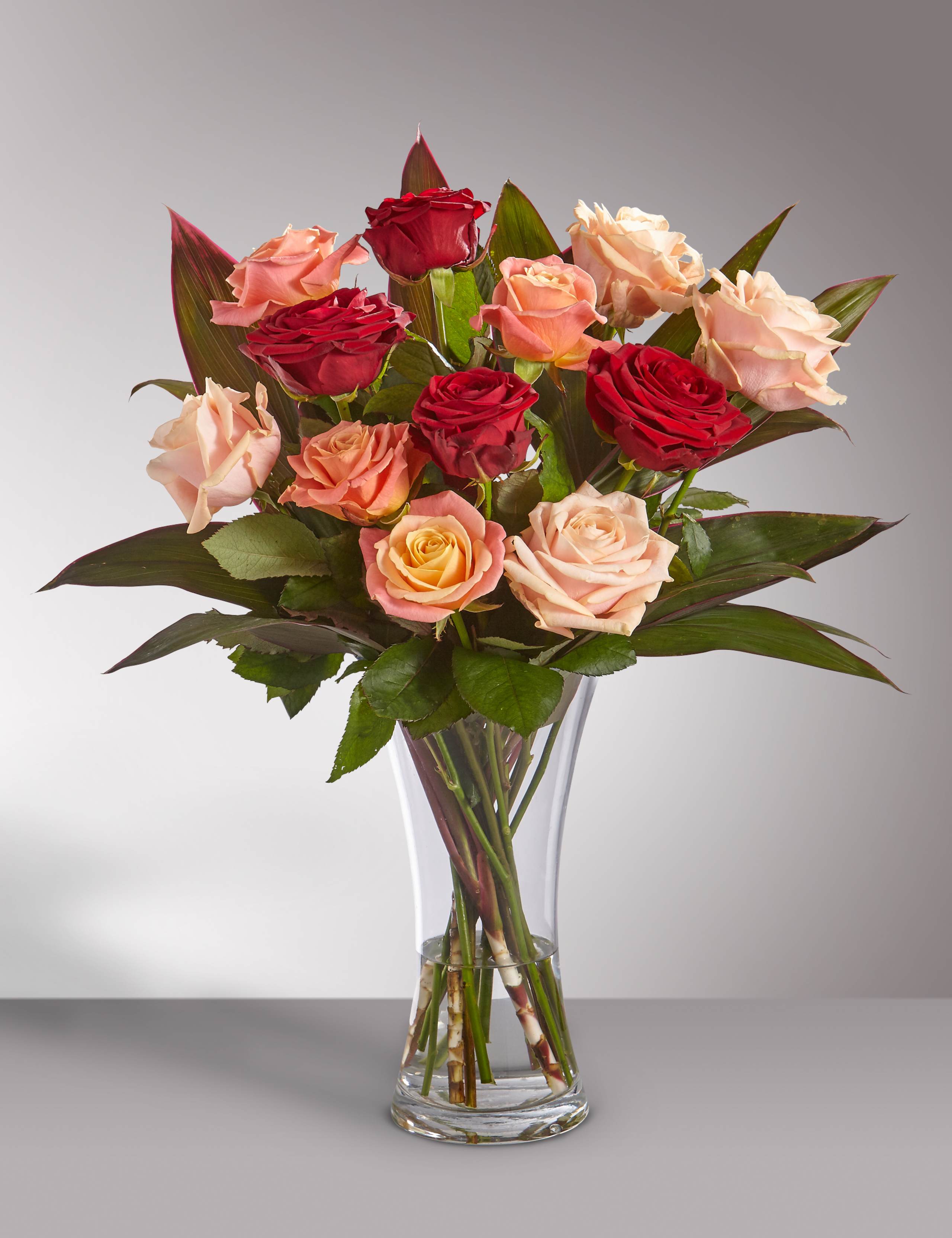 Premium Dozen Roses 1 of 4