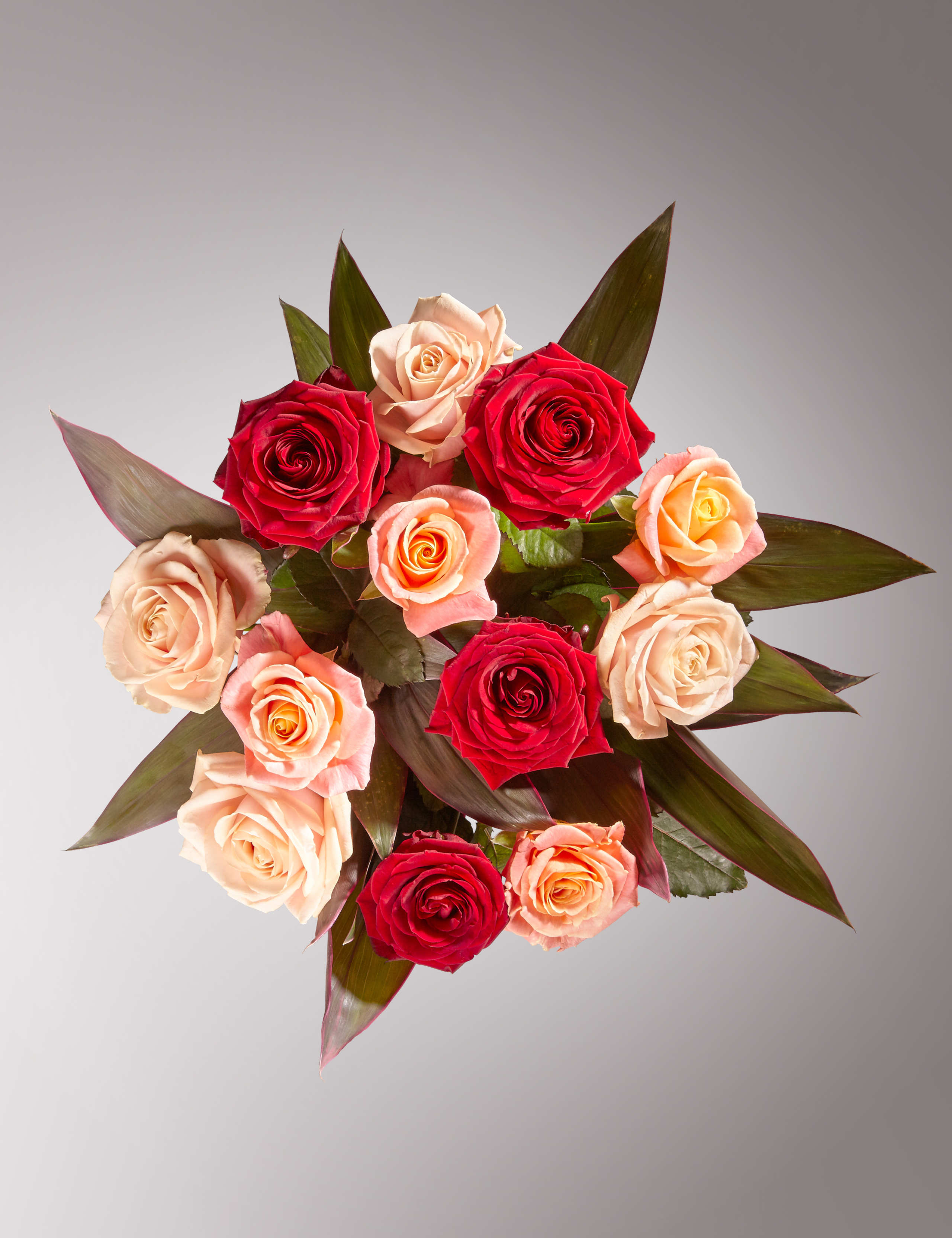 Premium Dozen Roses 3 of 4