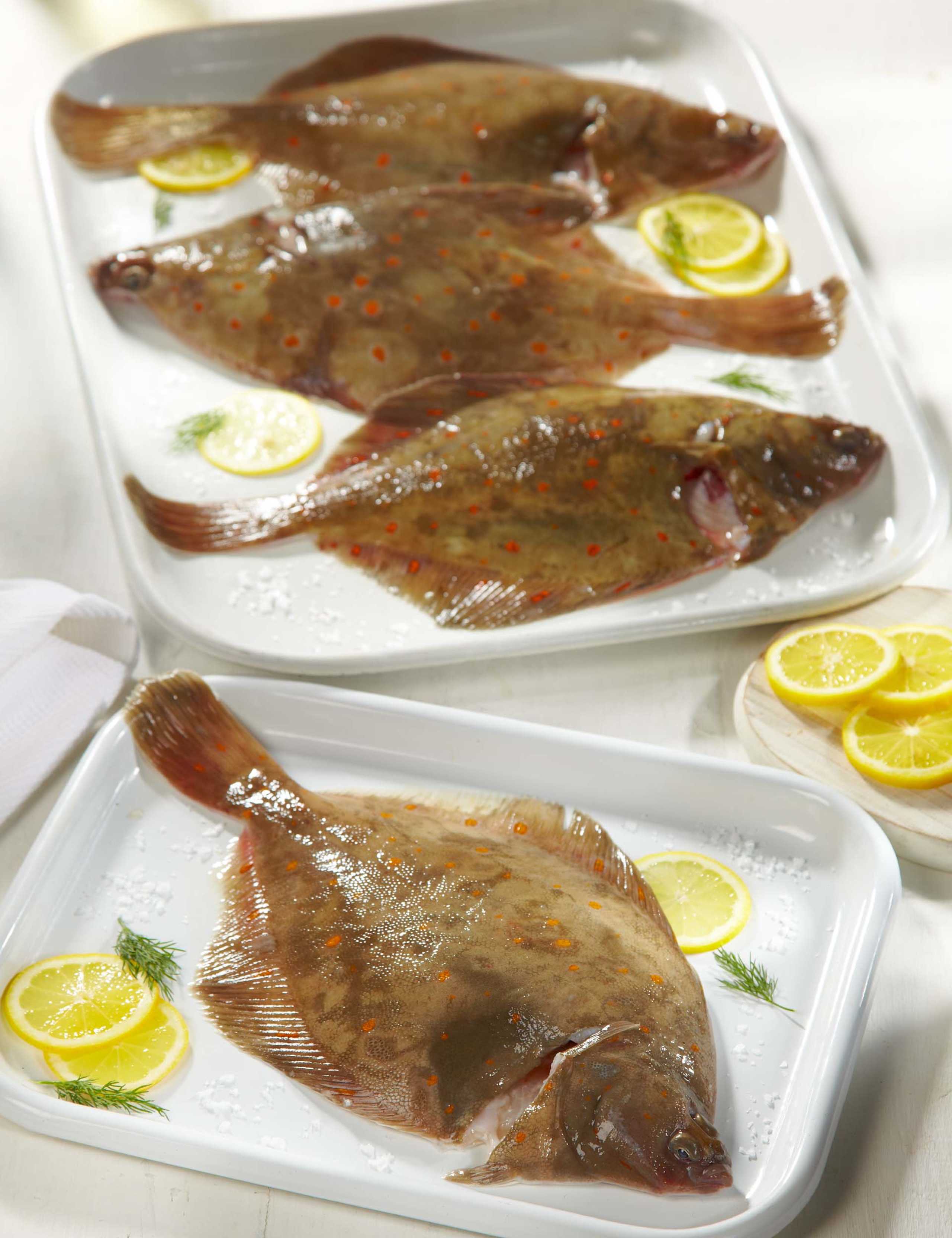 4 Whole Plaice 2 of 3
