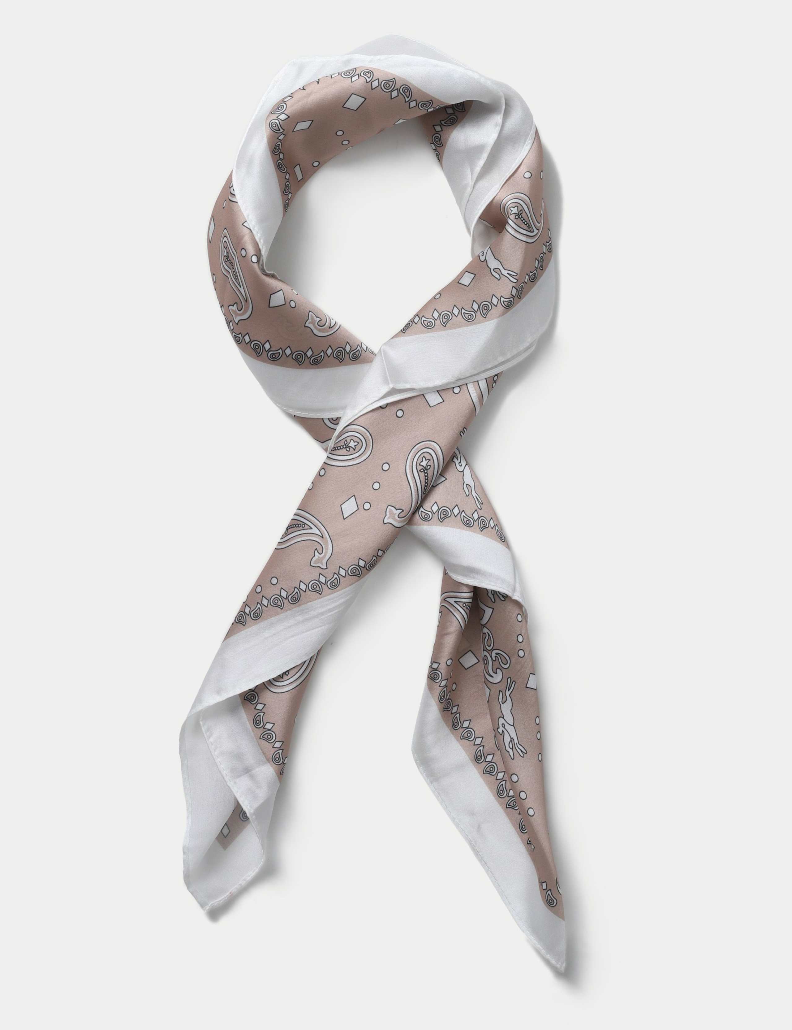 Neutral Paisley Stripe Scarf 1 of 2