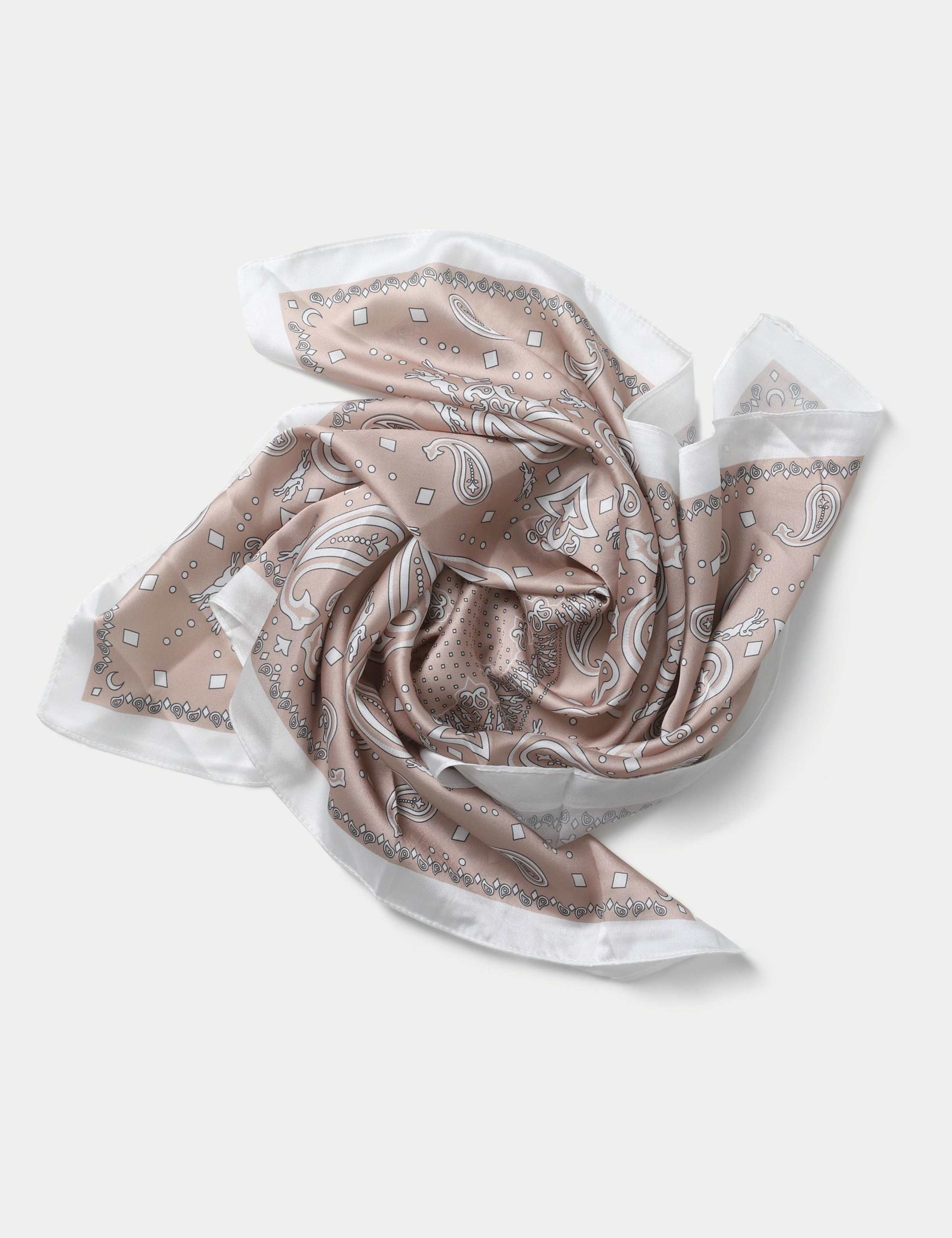 Neutral Paisley Stripe Scarf 2 of 2