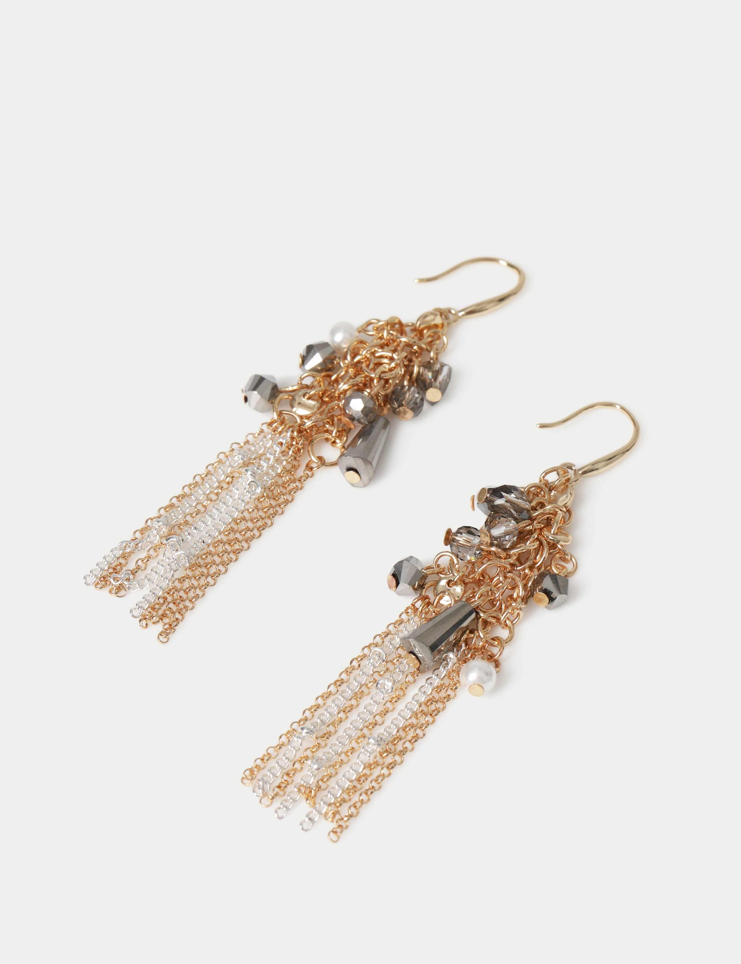 Chain and Metal Drop Earrings 2 of 2