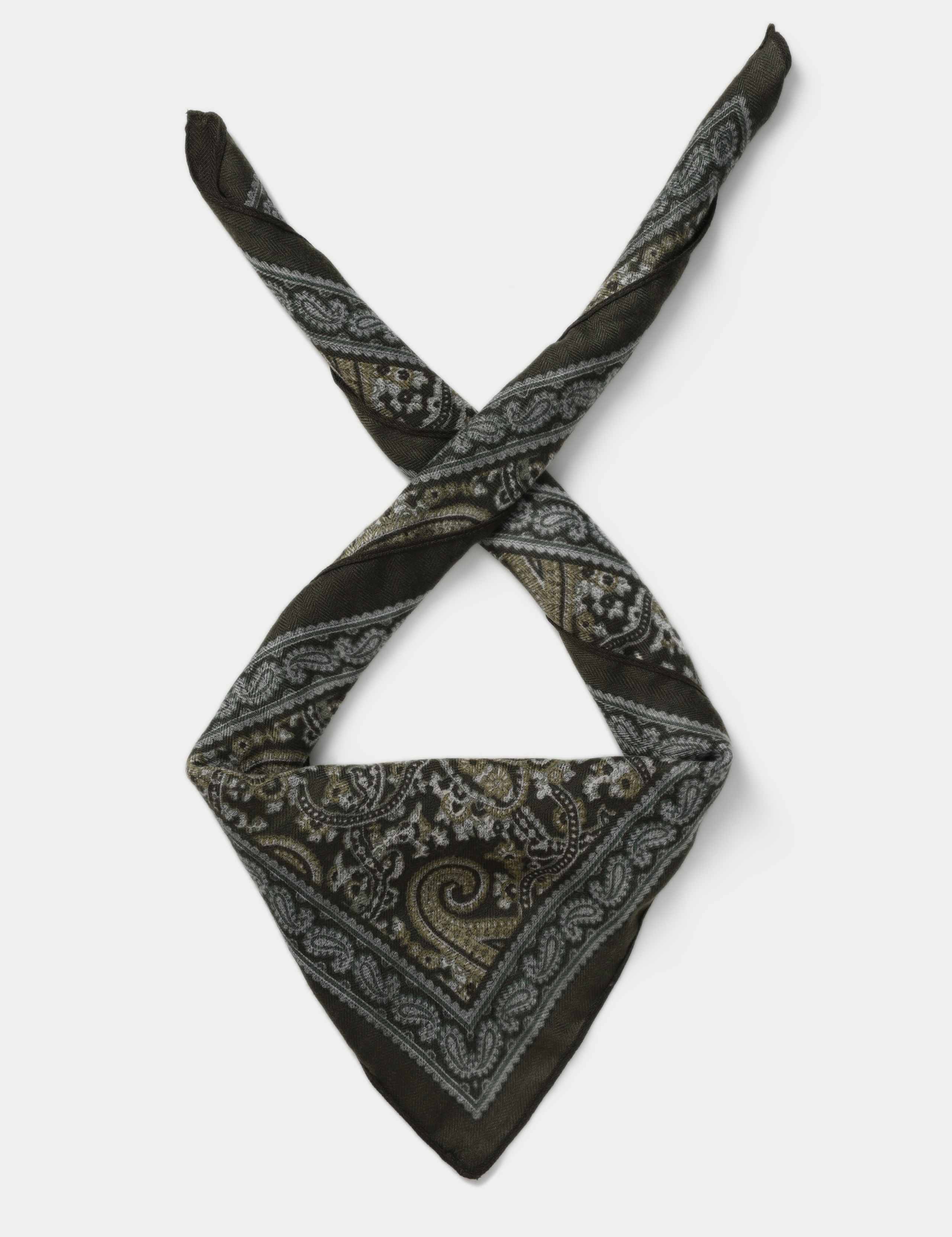 Warm Handle Green Paisley Scarf 1 of 3