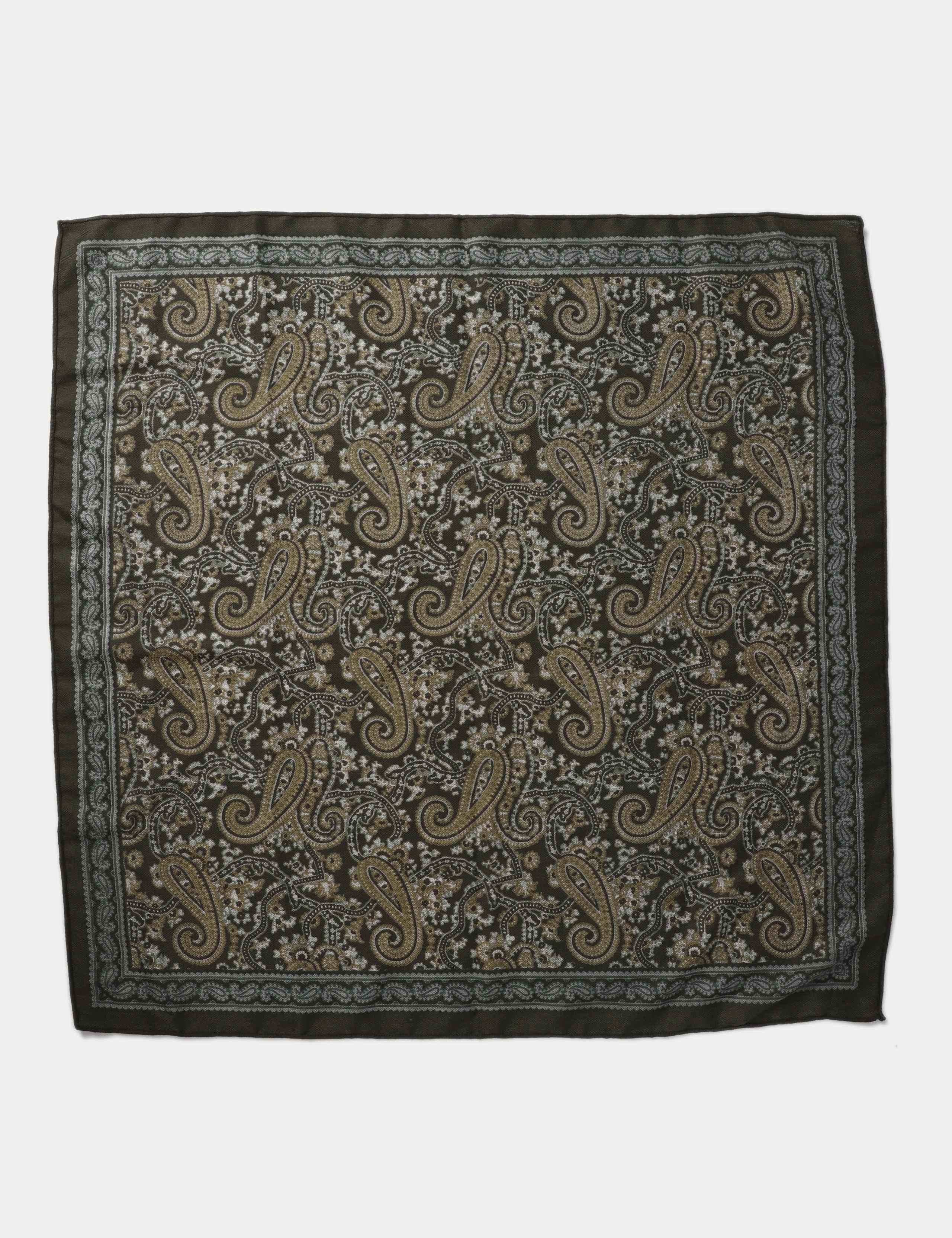 Warm Handle Green Paisley Scarf 3 of 3