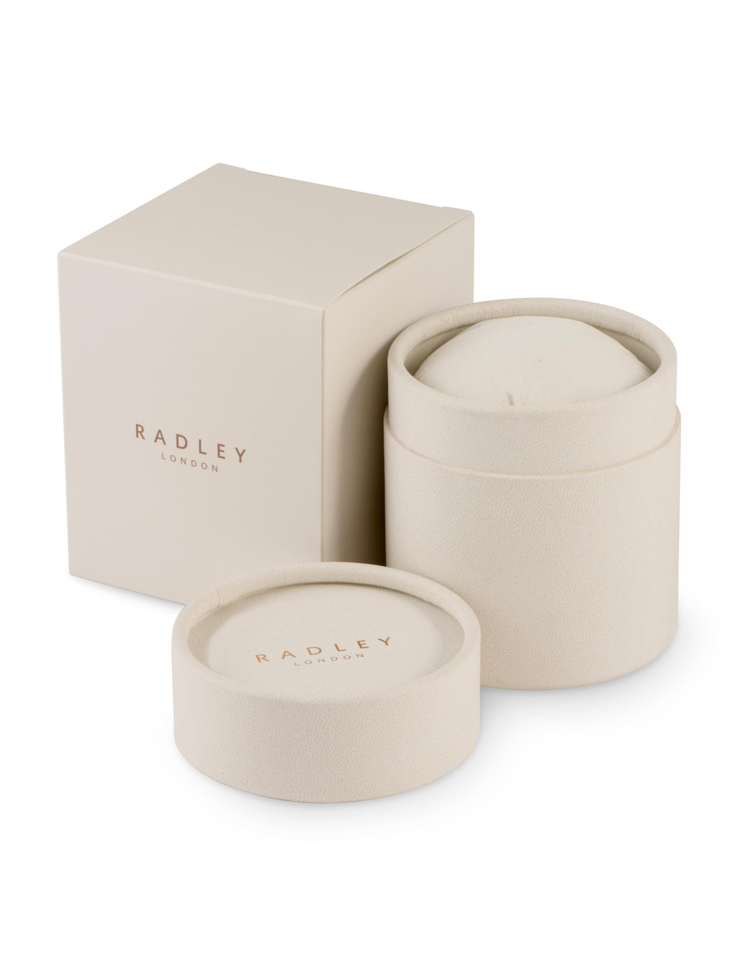 Radley Series 6 Leather Smartwatch 6 of 6