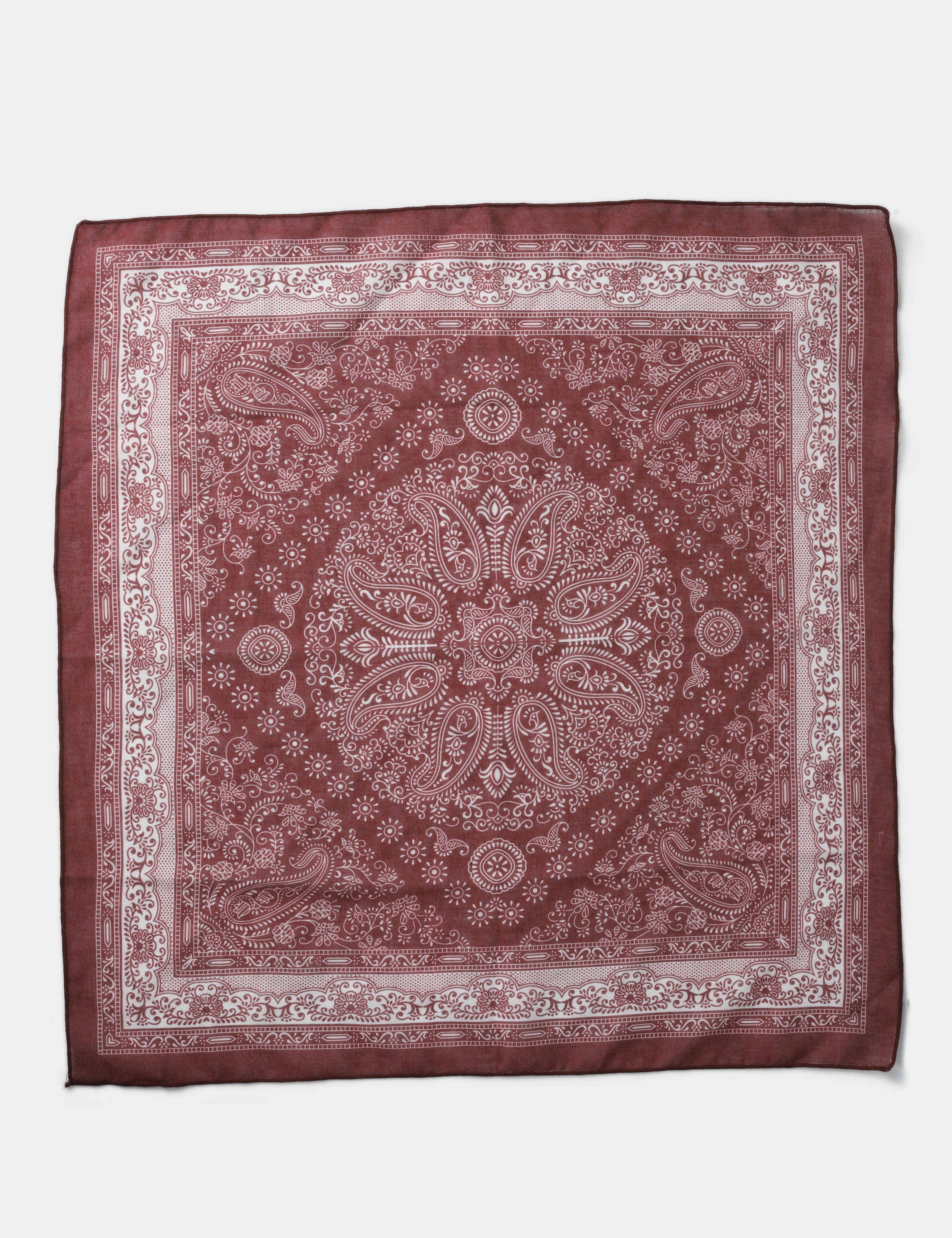 Warm Handle Paisley Scarf 2 of 3