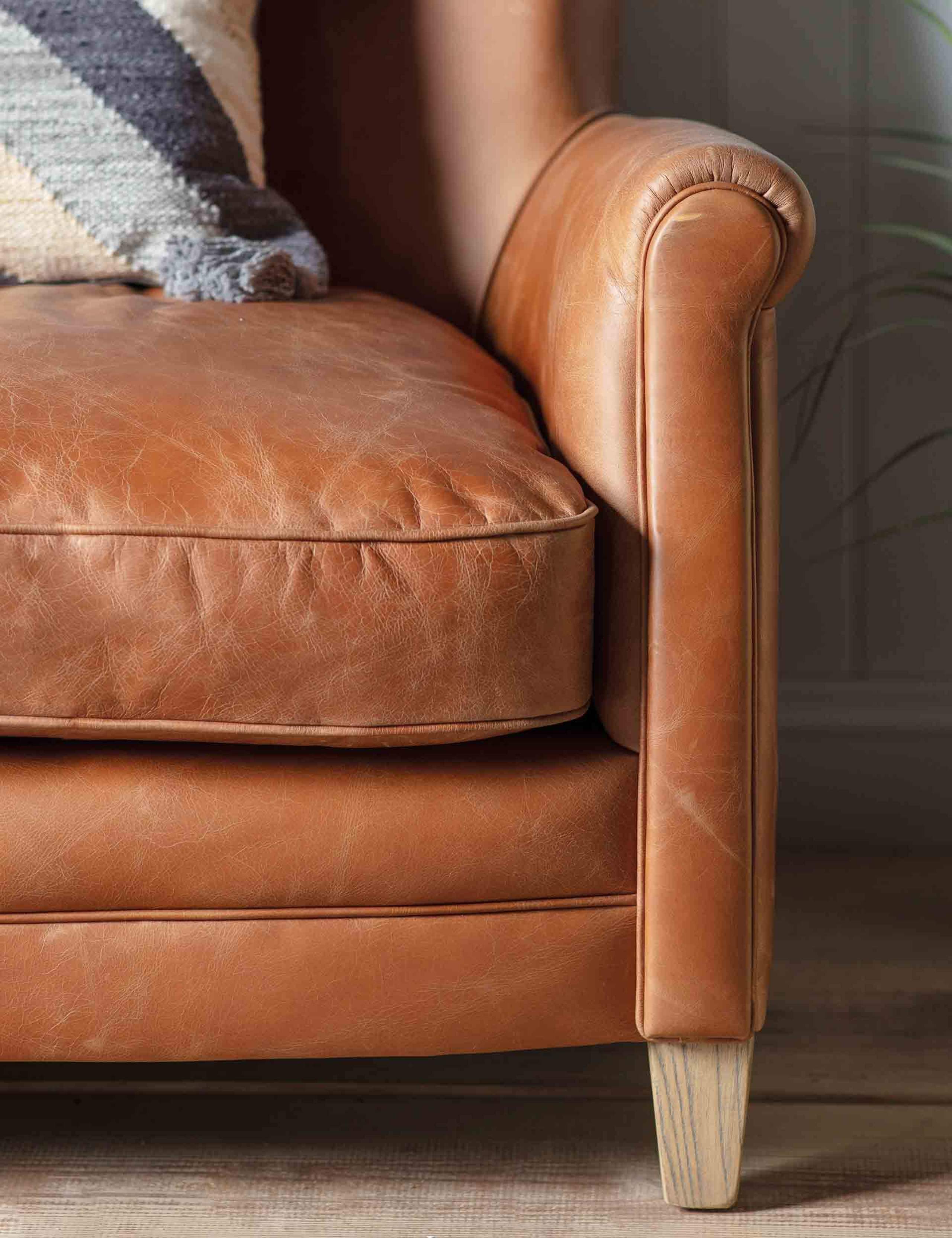 Mr. Paddington 2 Seater Sofa 4 of 6