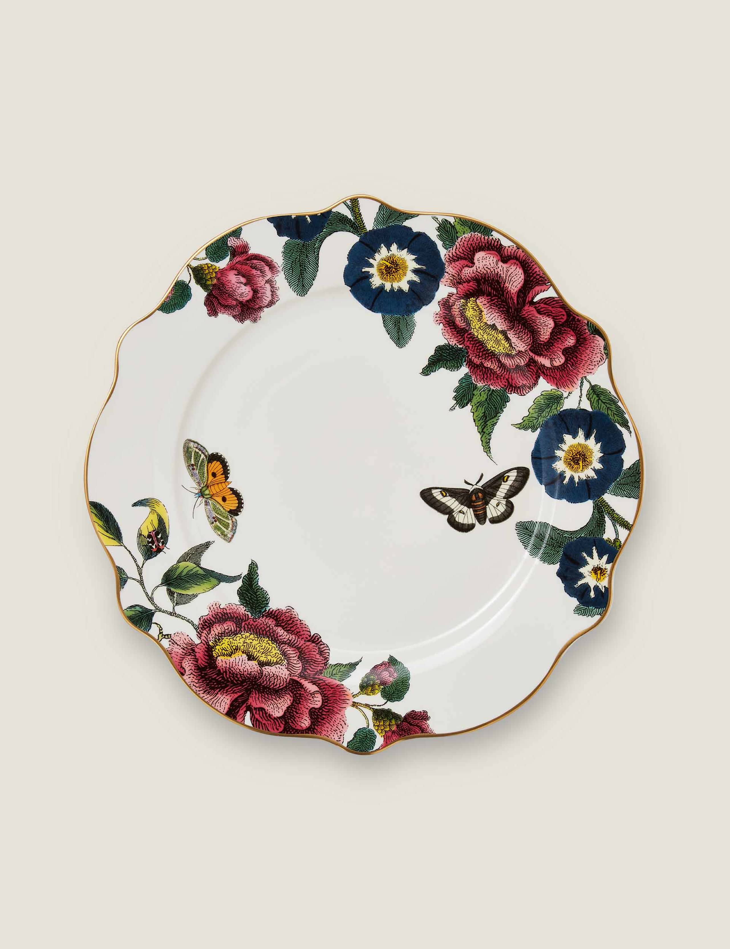 Set of 4 Creatures of Curiosity Dinner Plates 2 of 5