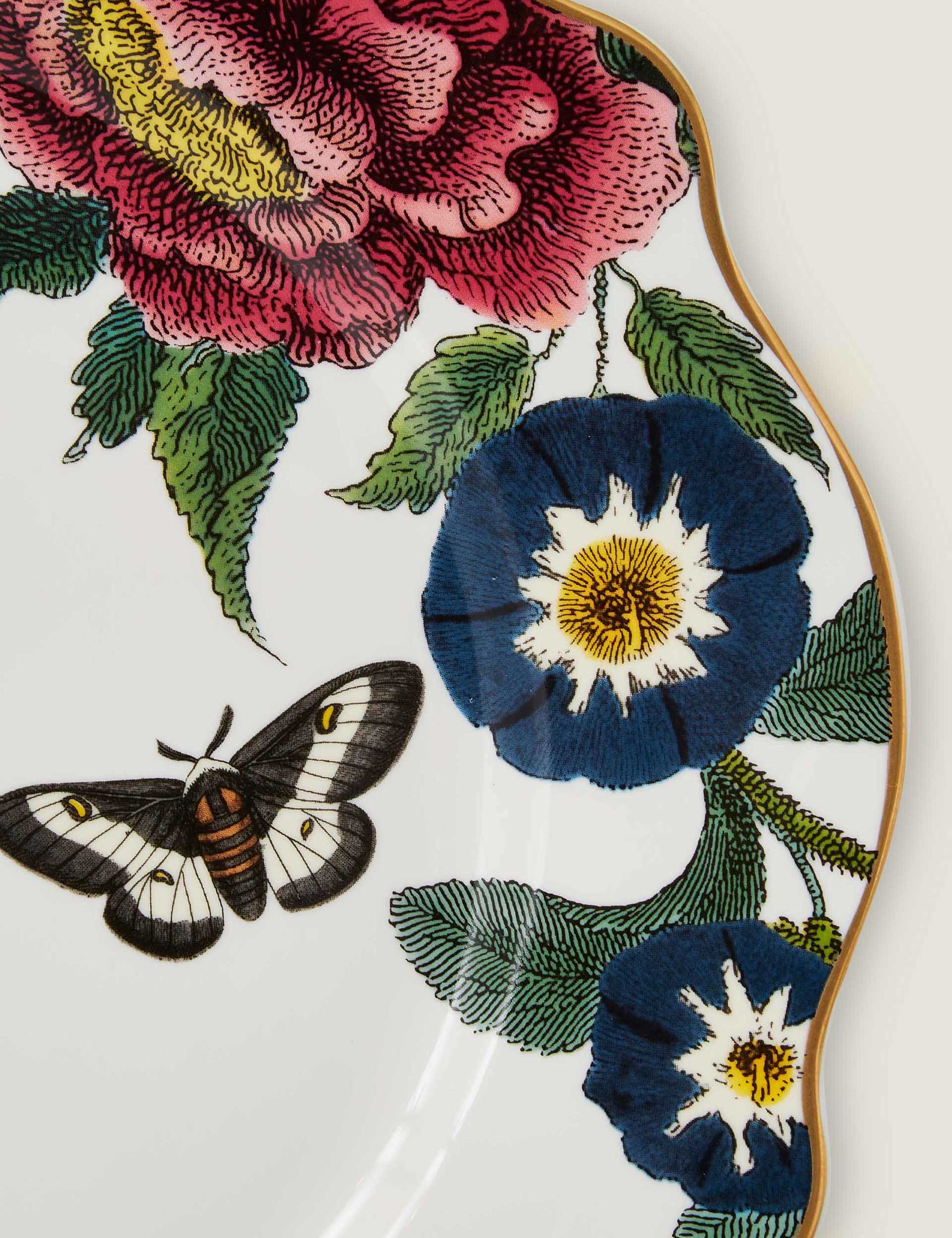 Set of 4 Creatures of Curiosity Dinner Plates 3 of 5