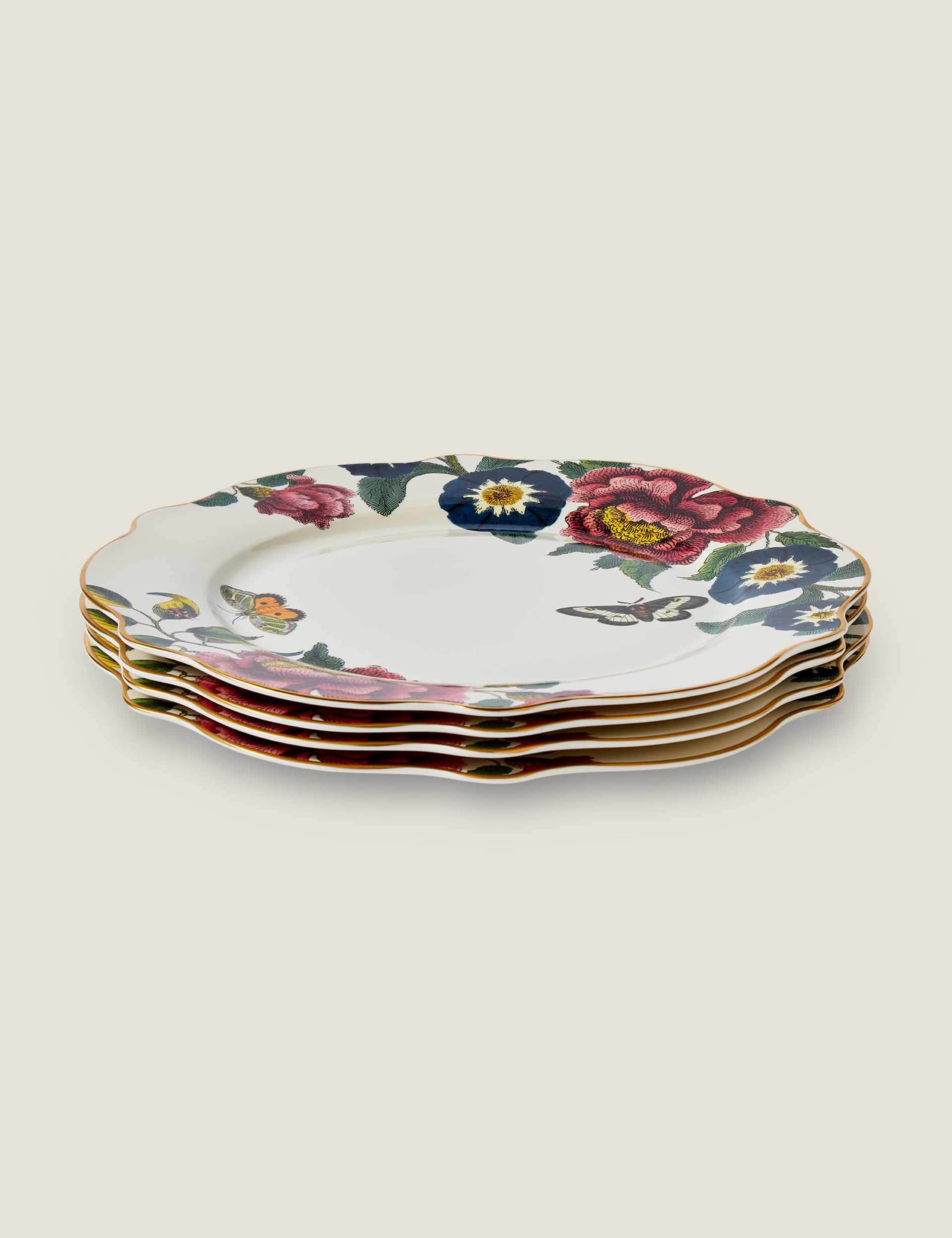 Set of 4 Creatures of Curiosity Dinner Plates 4 of 5
