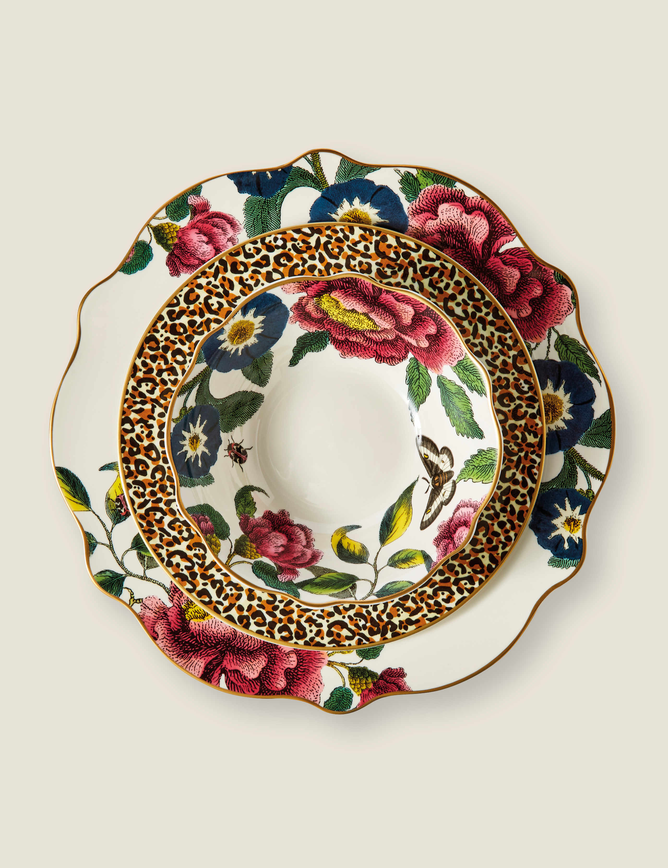 12 Piece Creatures of Curiosity Dinner Set 3 of 4