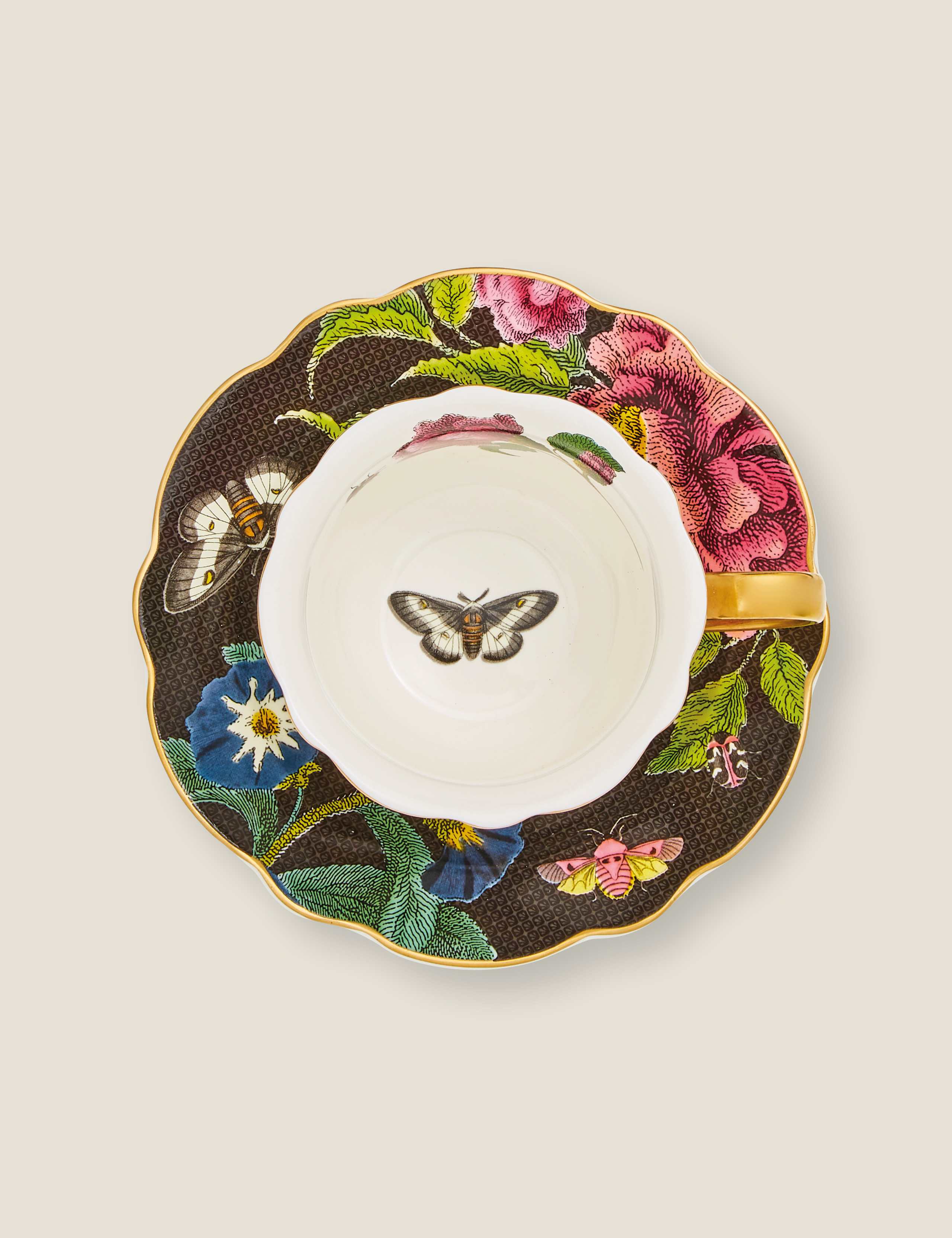 Creatures of Curiosity Dark Cup & Saucer 3 of 6