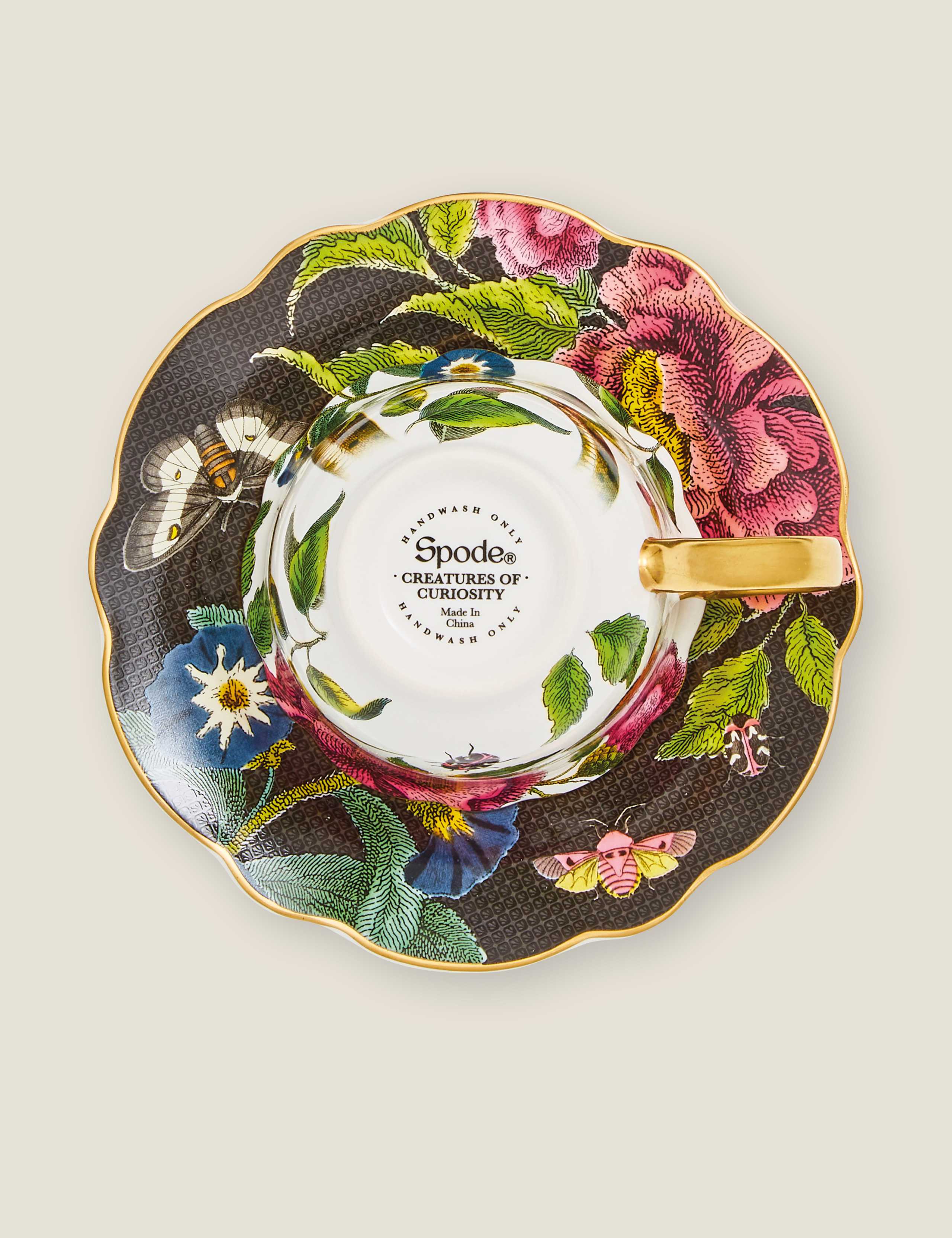 Creatures of Curiosity Dark Cup & Saucer 4 of 6