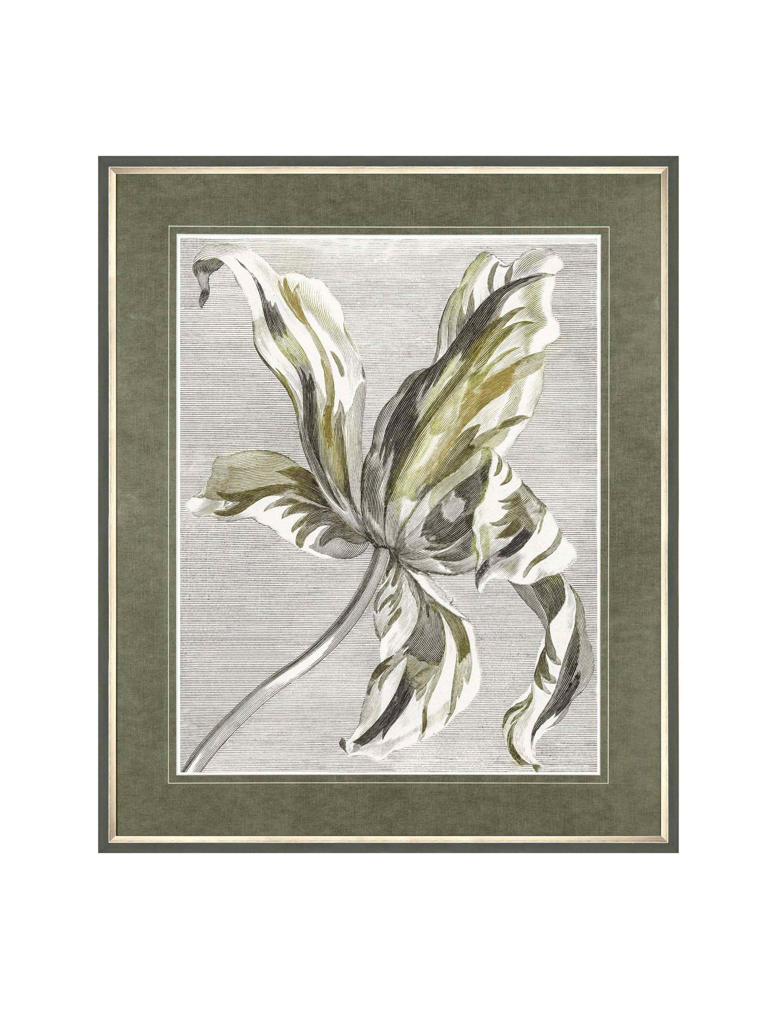 Tulip Bloom Floral Rectangle Framed Art 2 of 2
